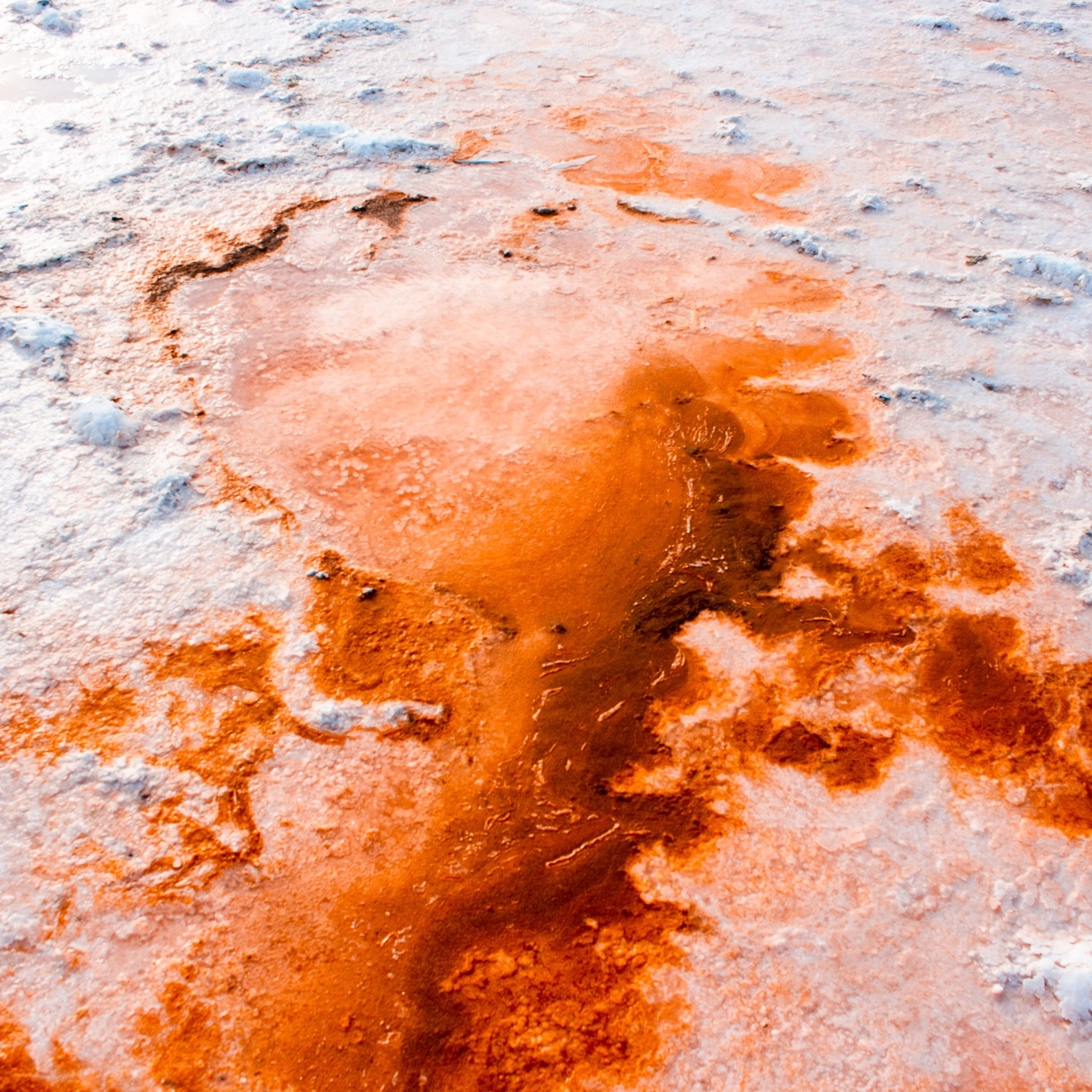 Крым. Видеограф Добромыслов