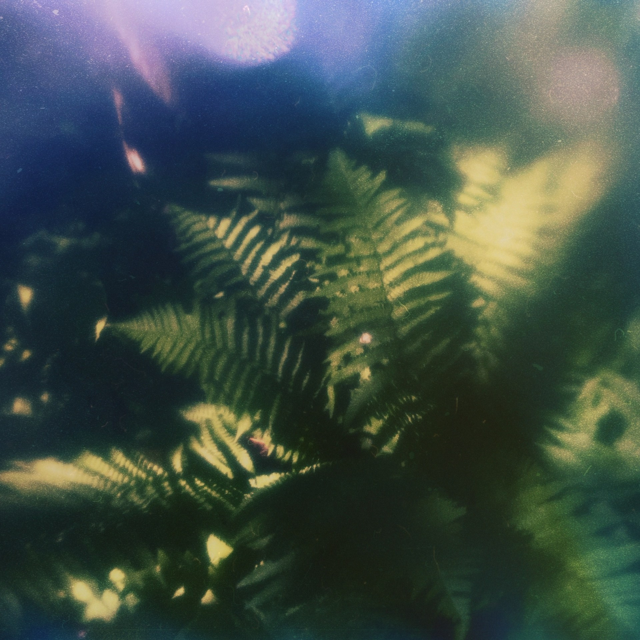 Фотоальбом: Алхимия Жизни. VITA · visual therapy arts