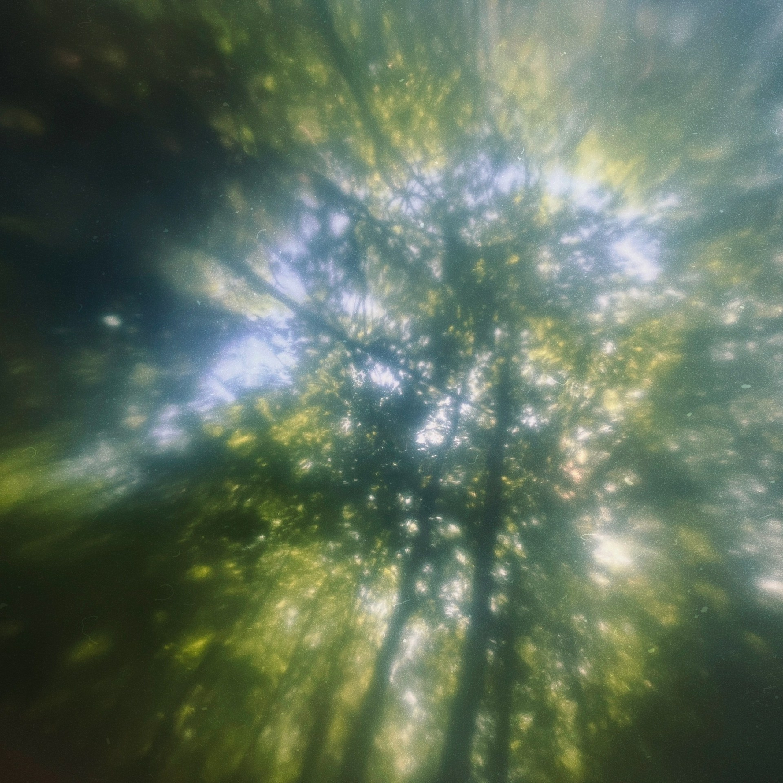 Фотоальбом: Алхимия Жизни. VITA · visual therapy arts