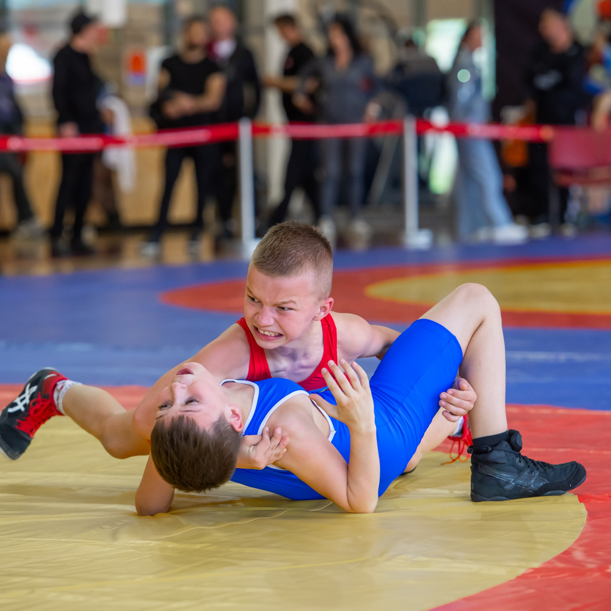 Вольная борьба