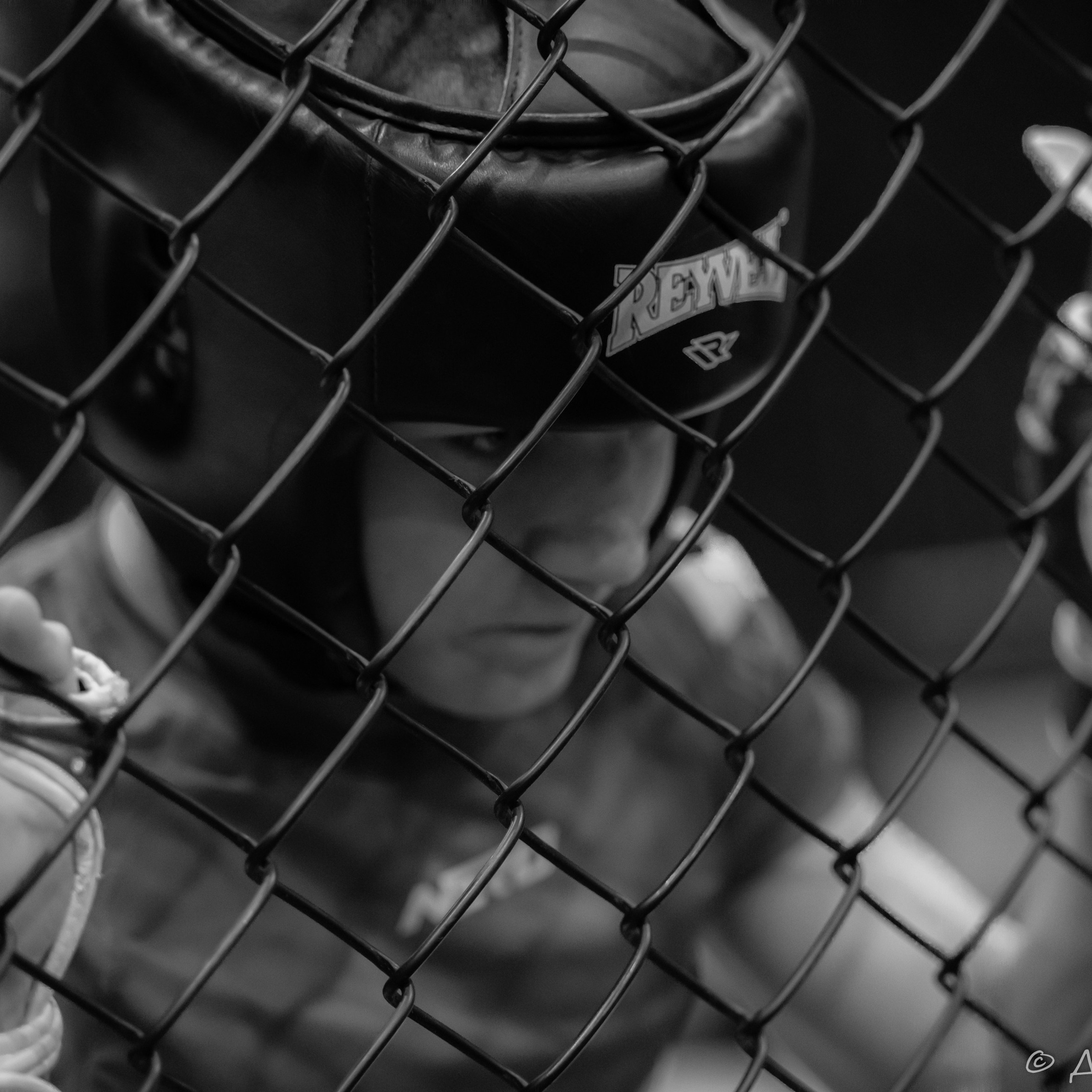 ММА Смешанные единоборства