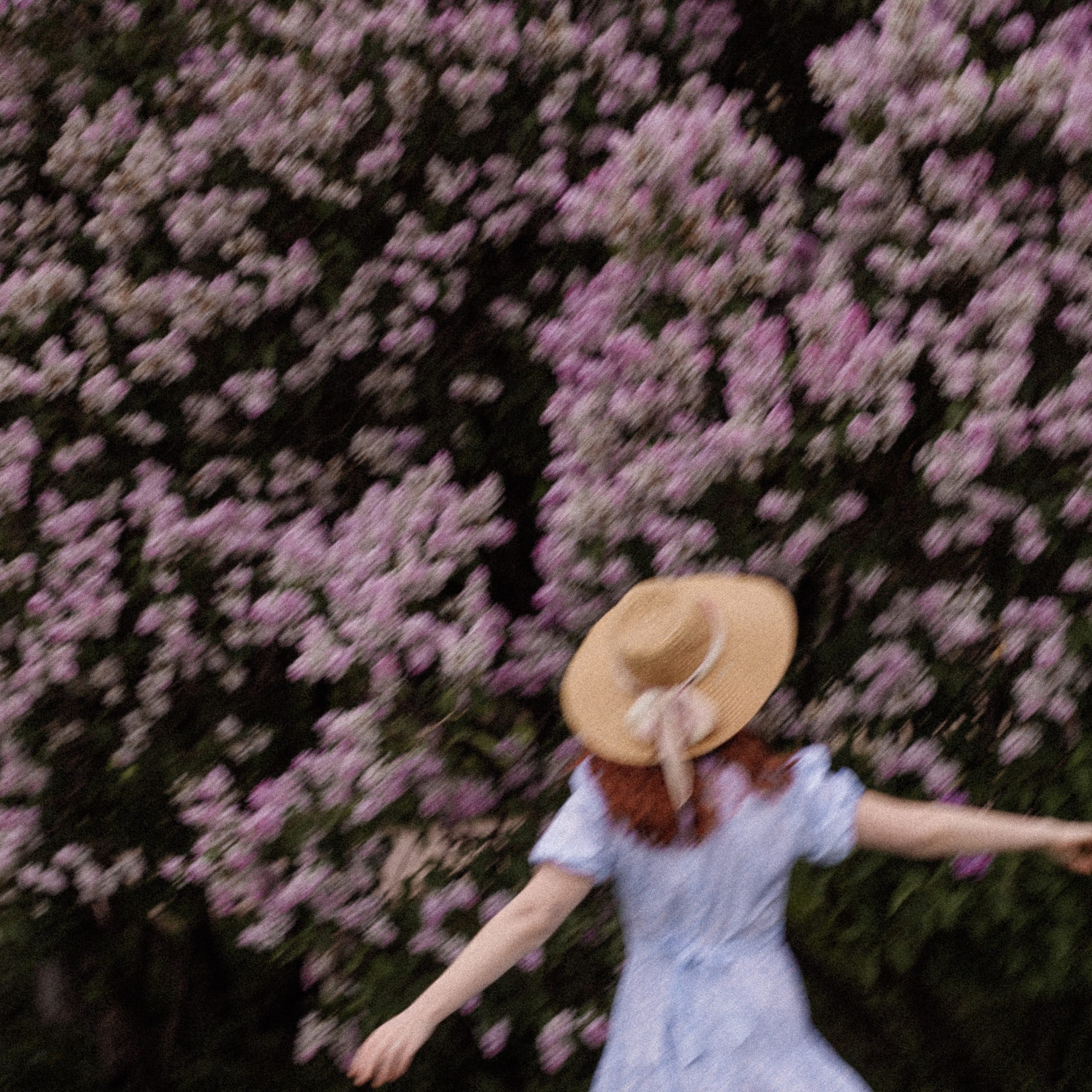 Прогулка в летнем саду