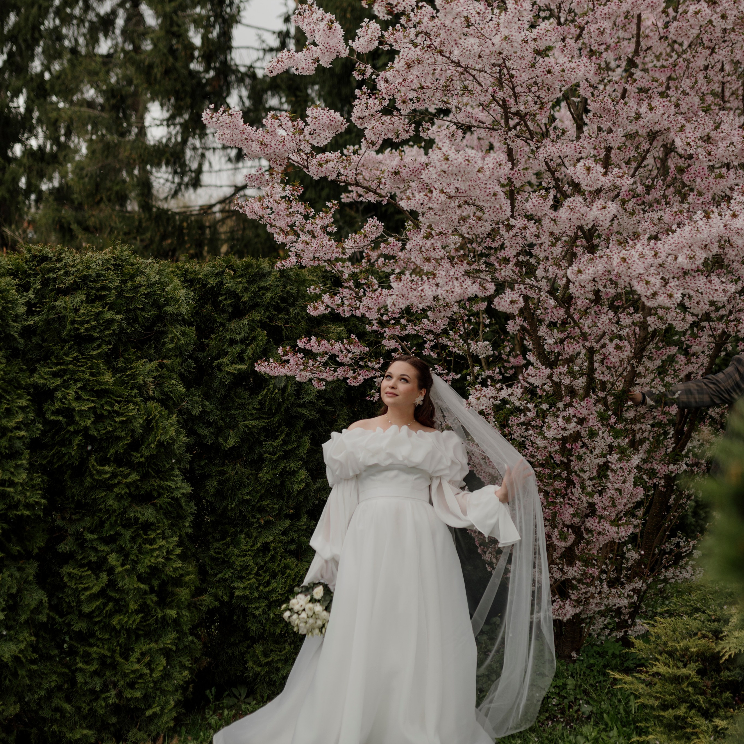 Отзывы. Свадебный и Семейный фотограф в Ярославле Алёна Колясникова