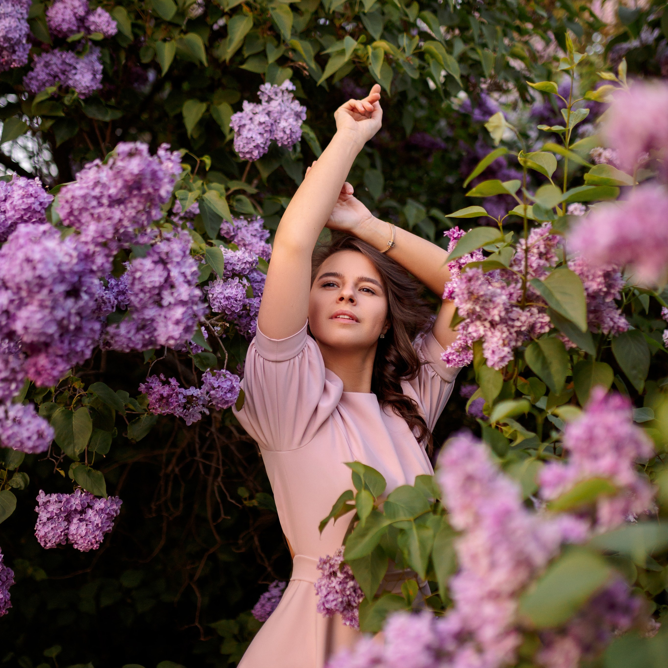 Цветение в&nbsp;сиреневом саду