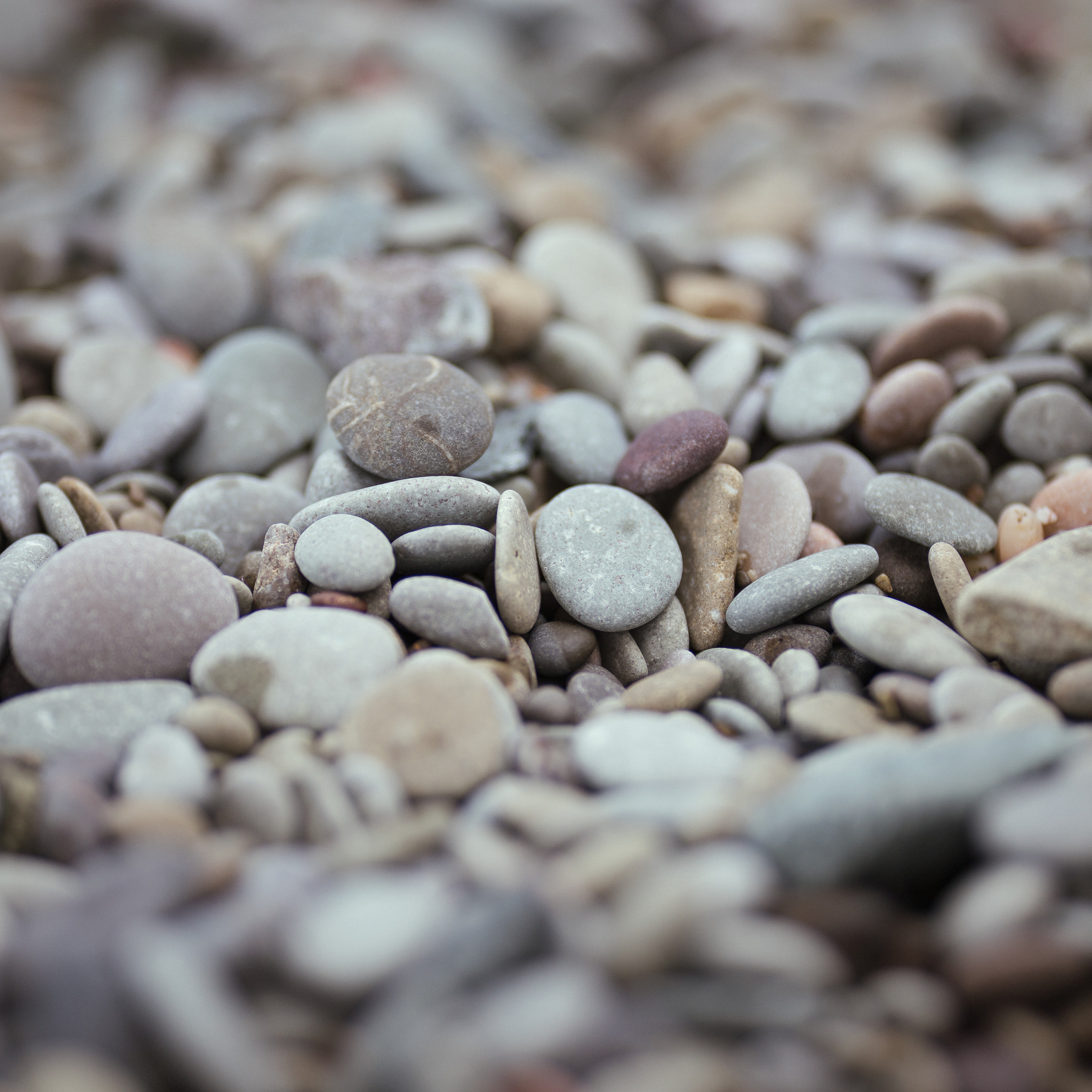 Отзывы. Фотограф Ольга Бритикова Тула