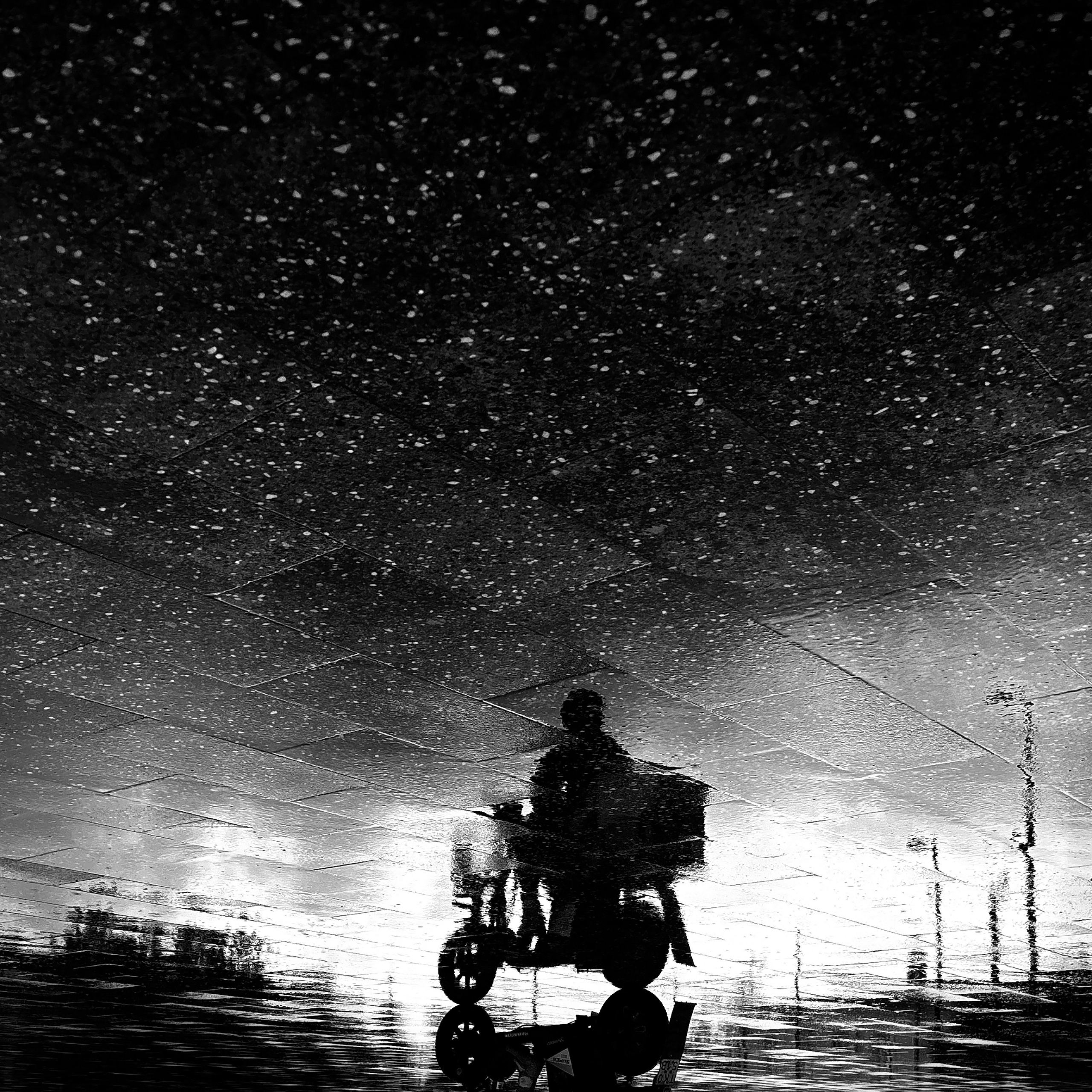 עבודתי בתערוכה “קרוב יותר” בגלריה “בארן” (קלינינגרד). צלם ואמן ילדים ומשפחה