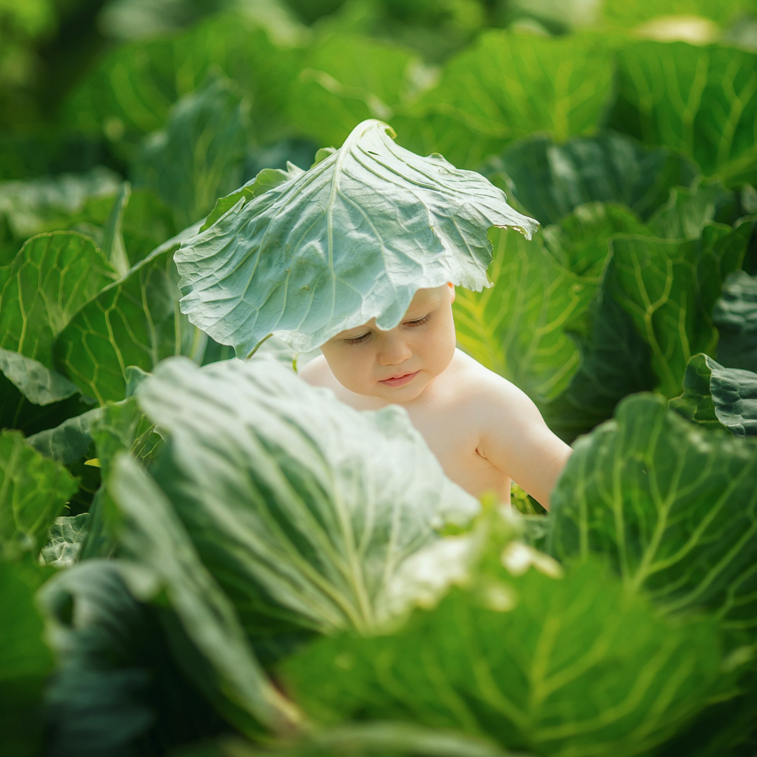 Летом на даче