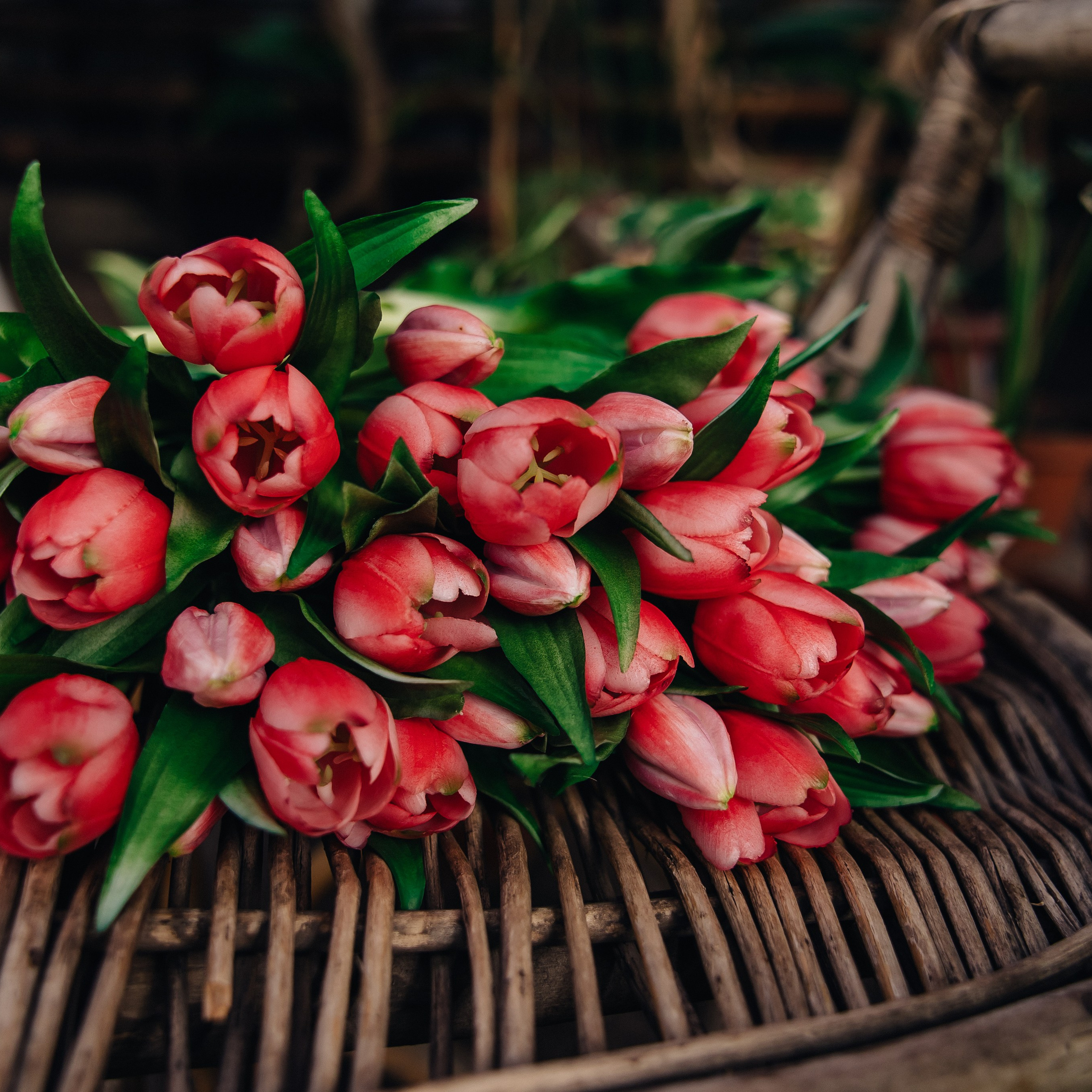 Отзывы. Фотограф в Челябинске Жукова Милана