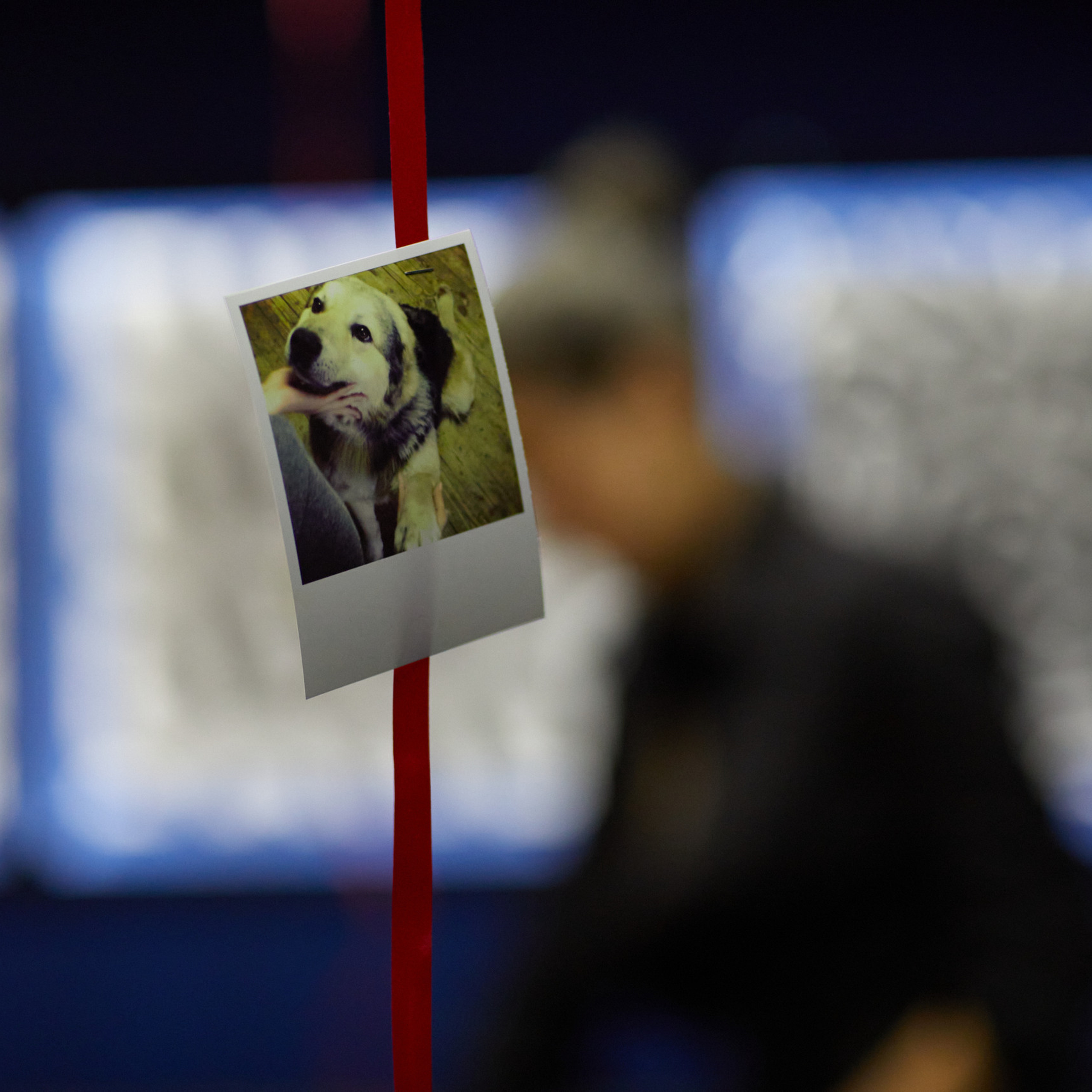 Отзывы. Профессиональная фотосъемка для бизнеса и личного бренда в Москве