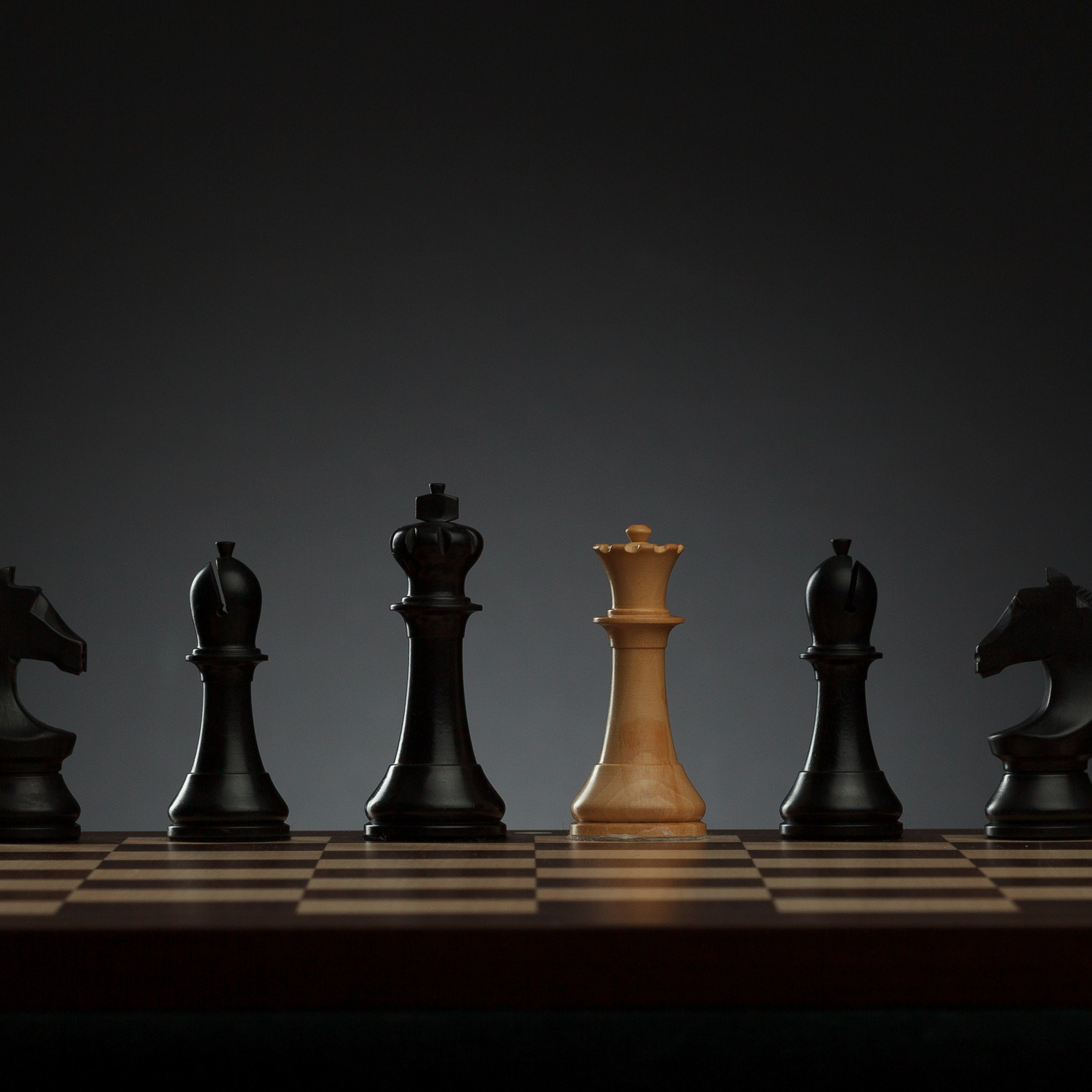 Отзывы. Профессиональная фотосъемка для бизнеса и личного бренда в Москве