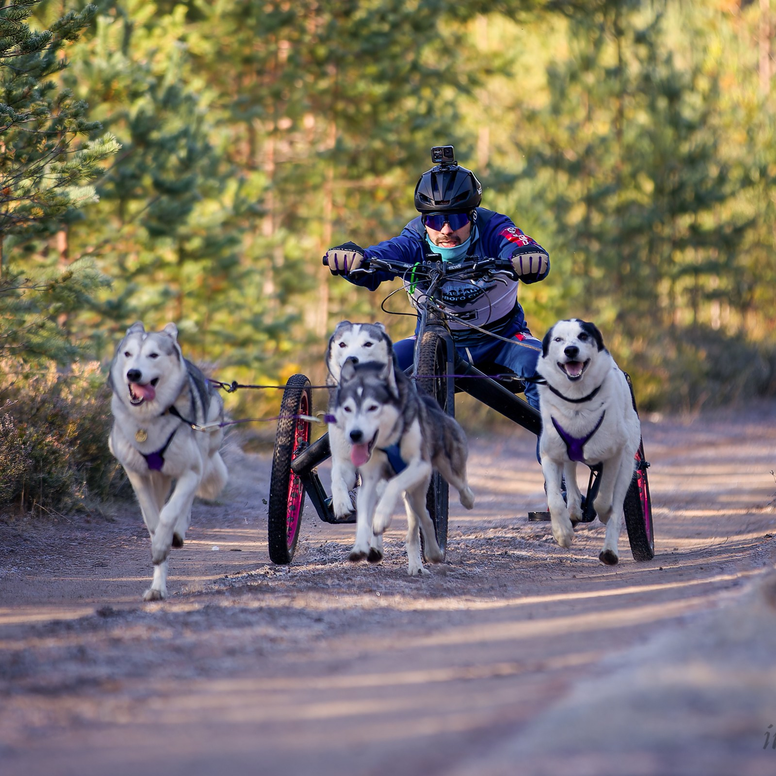 Чемпионат Санкт-Петербурга осень 2025