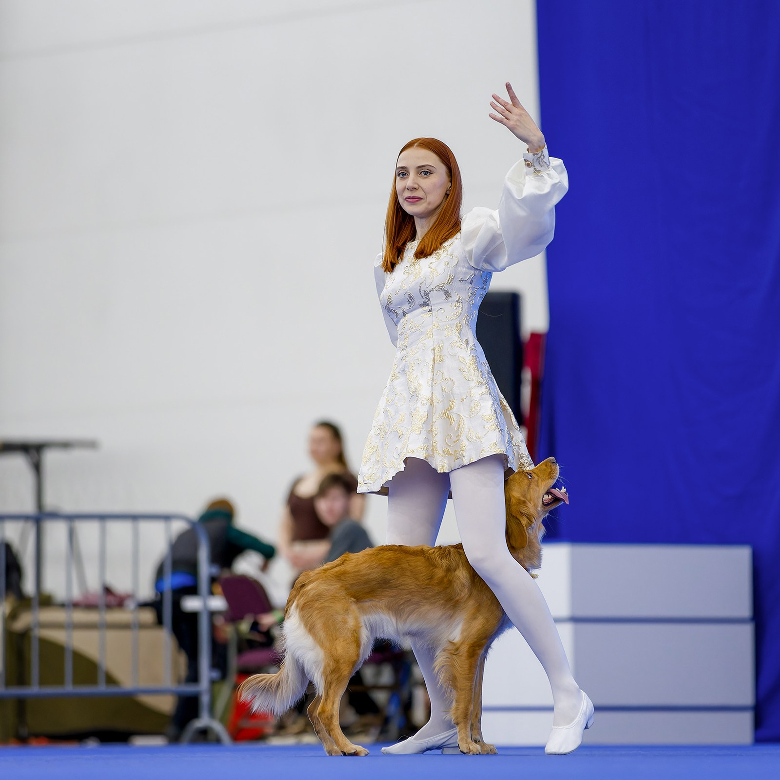 Танцы с собаками. Зоошоу 14.12.2025