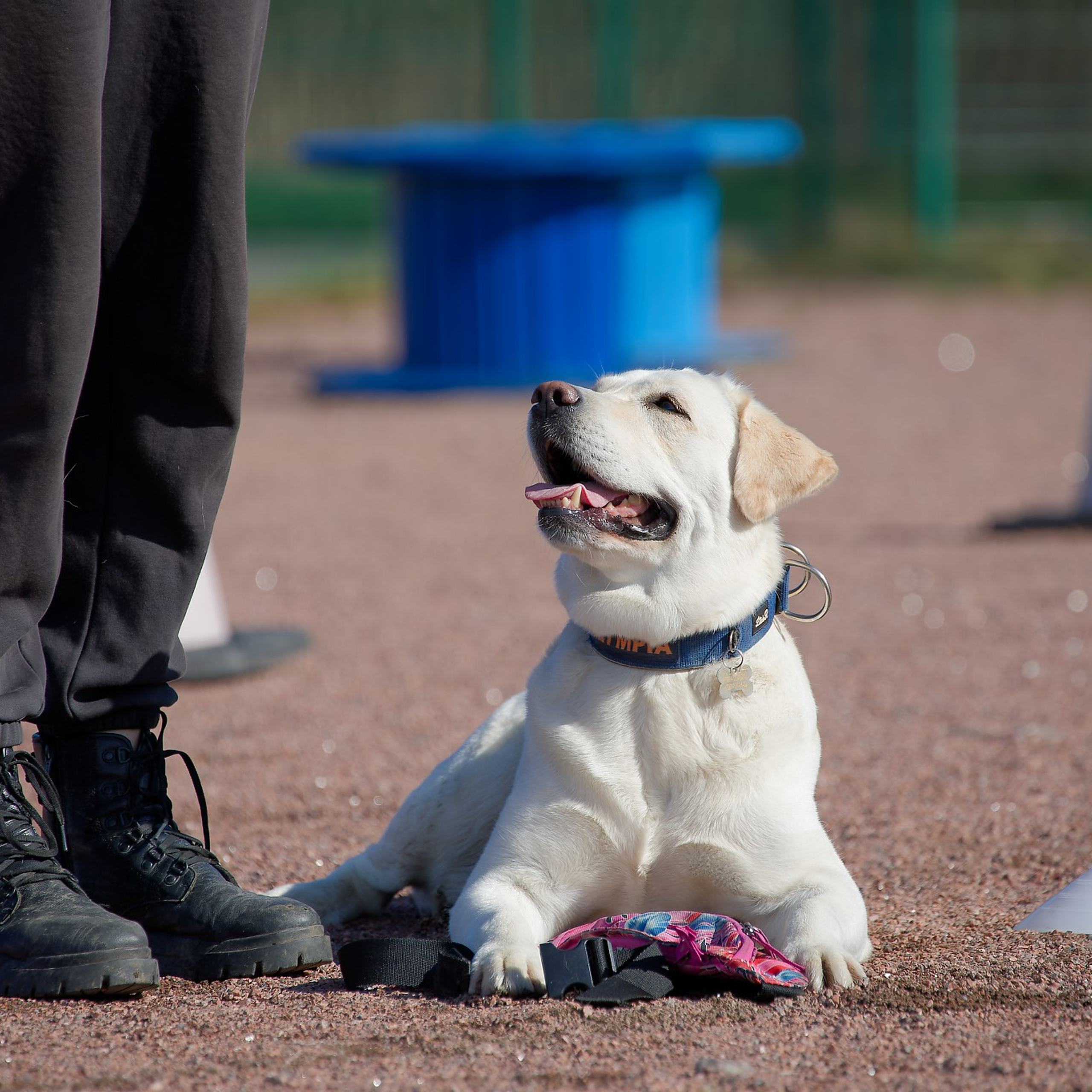 Турнир «Место»