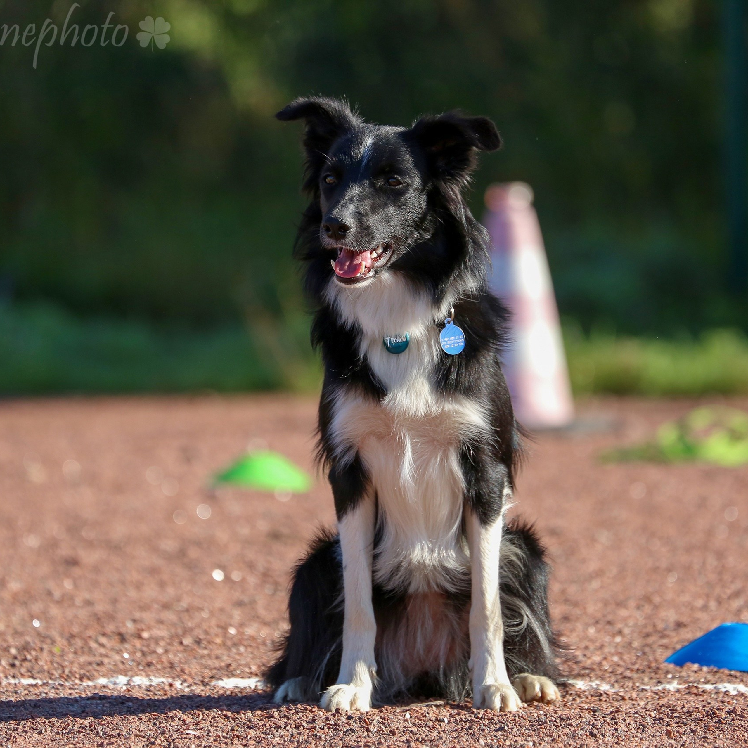 Остановка из движения
