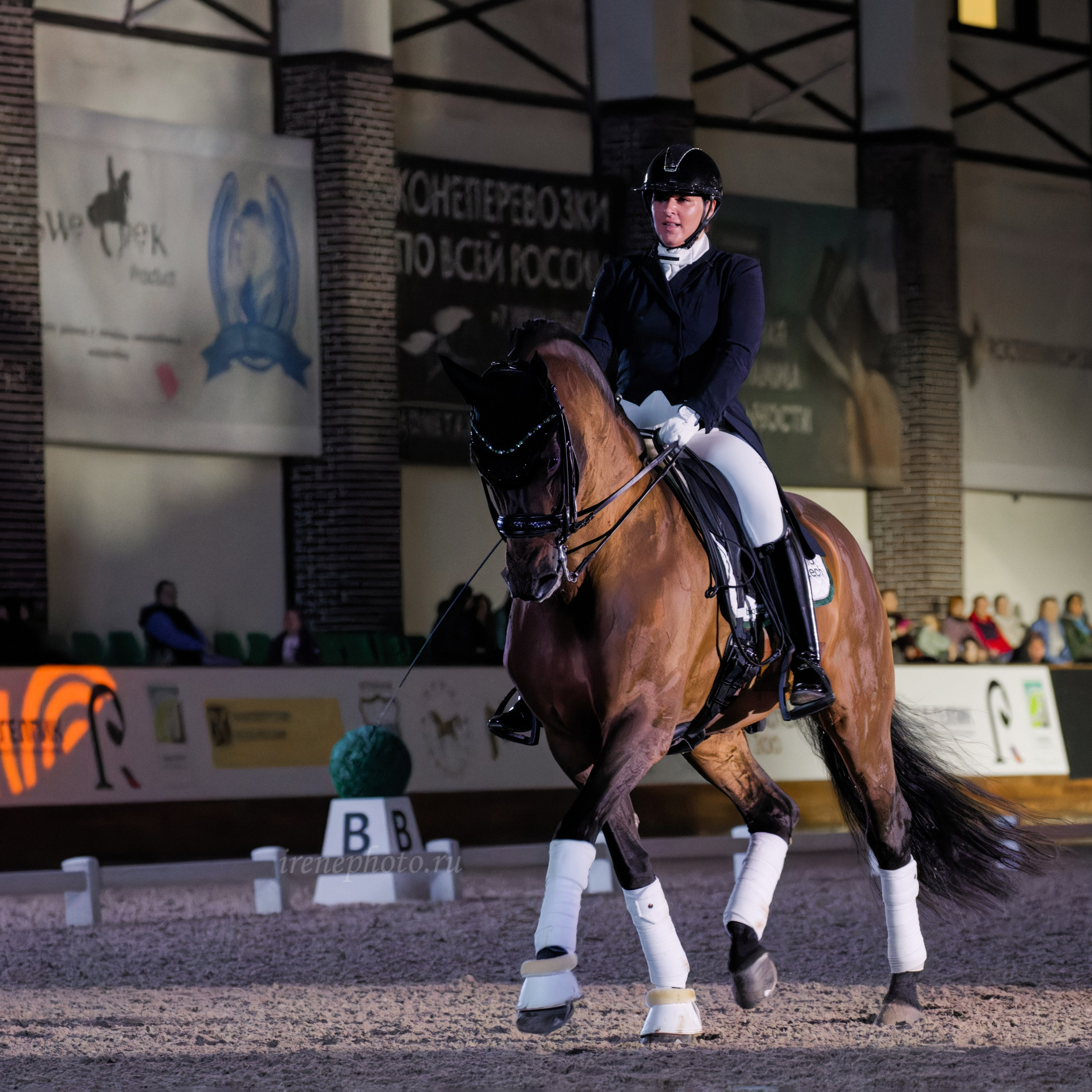 Конная Россия 2024