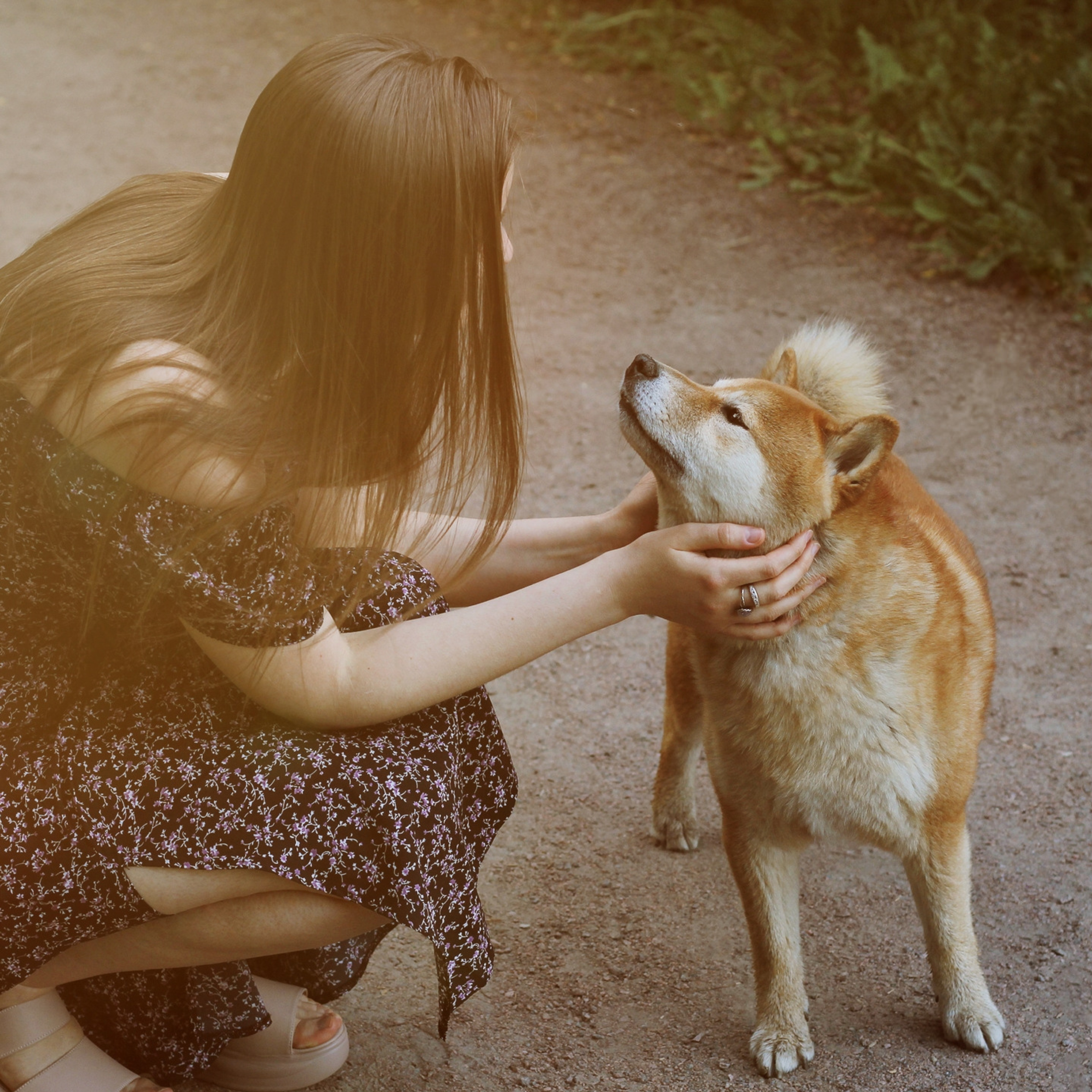 Отзывы. Портретный и репортажный фотограф г. Санкт-Петербург Елена Плахотникова
