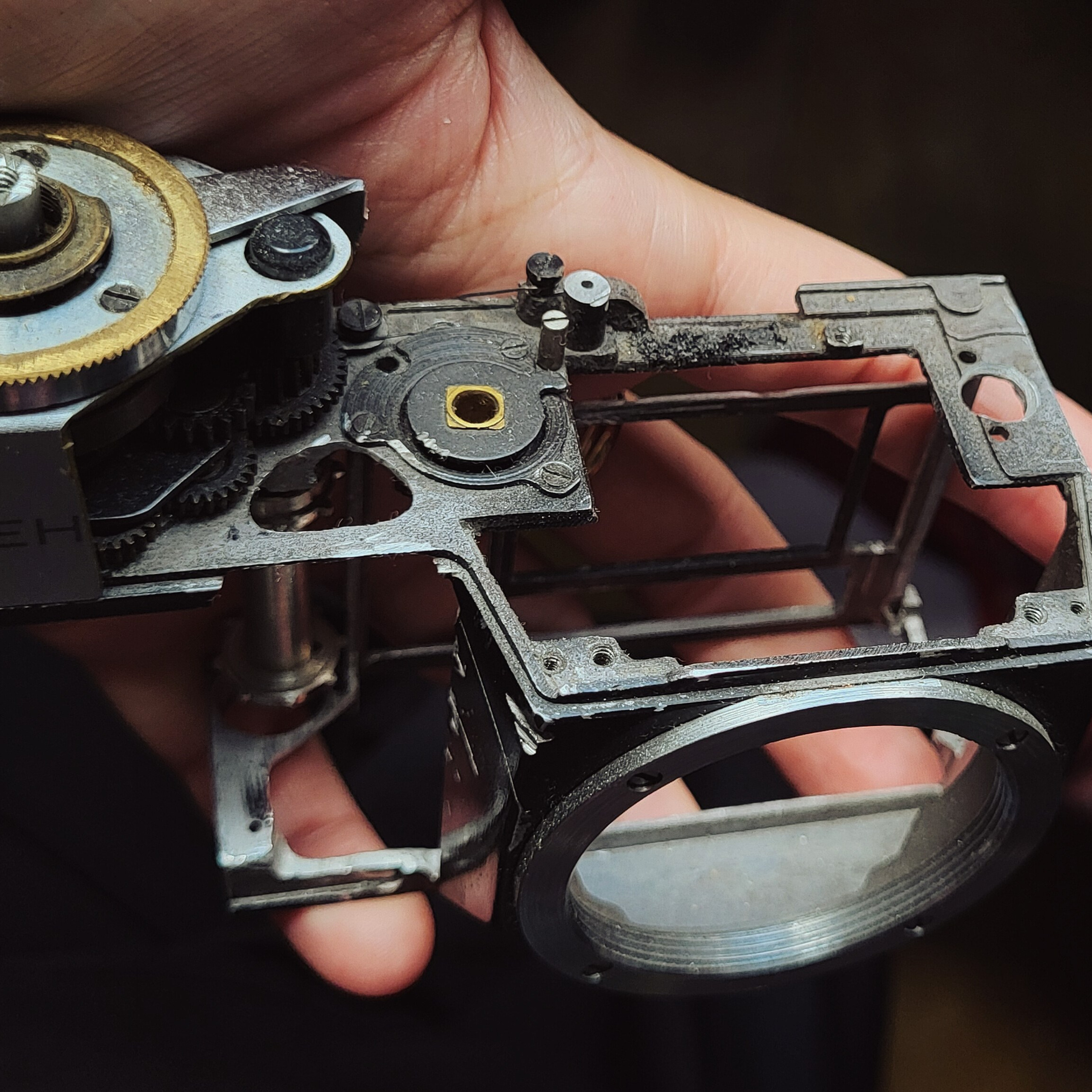 Отзывы. Портретный и репортажный фотограф г. Санкт-Петербург Елена Плахотникова