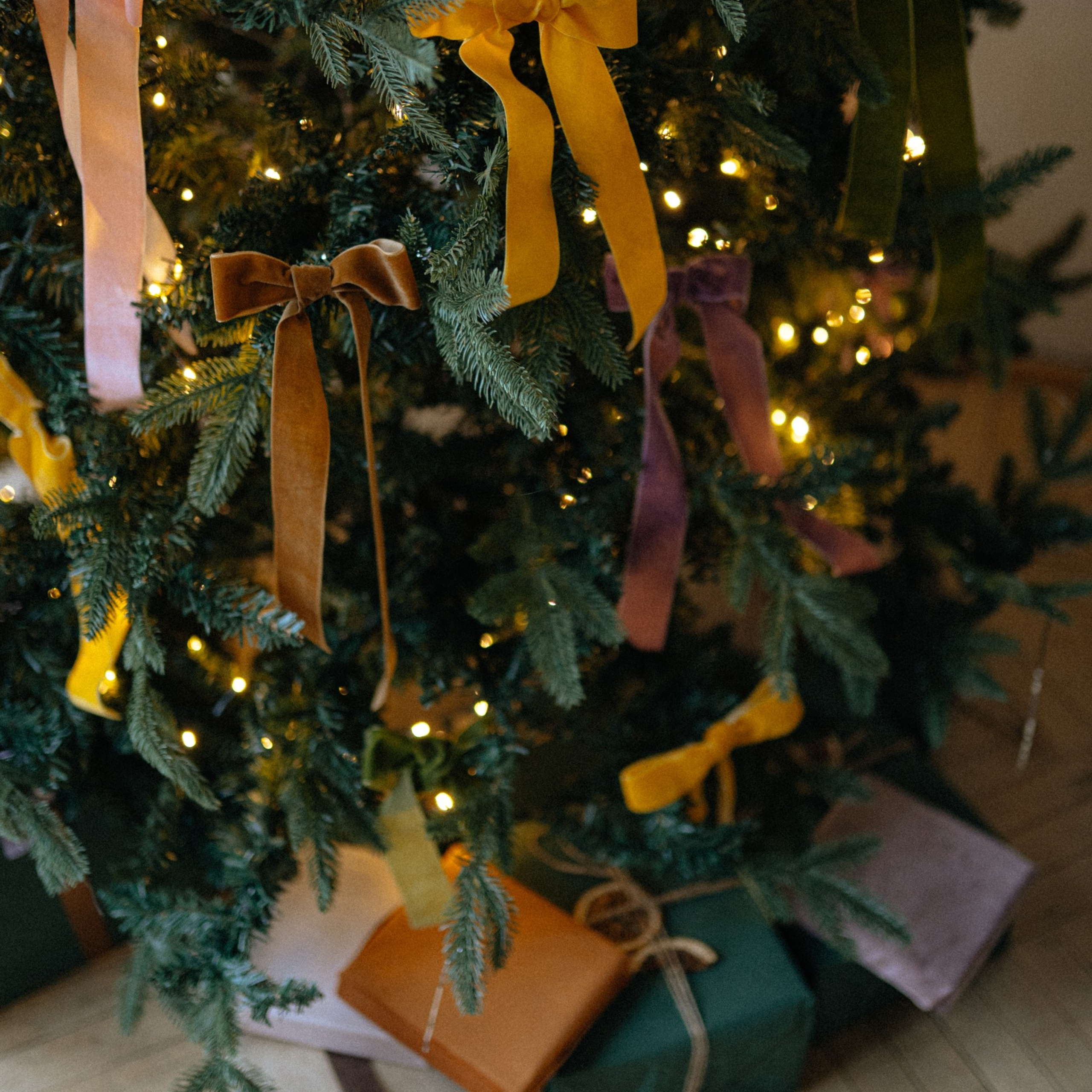 Новогодние локации 2026. Свадебный и семейный фотограф в Туле и области Маша Костина