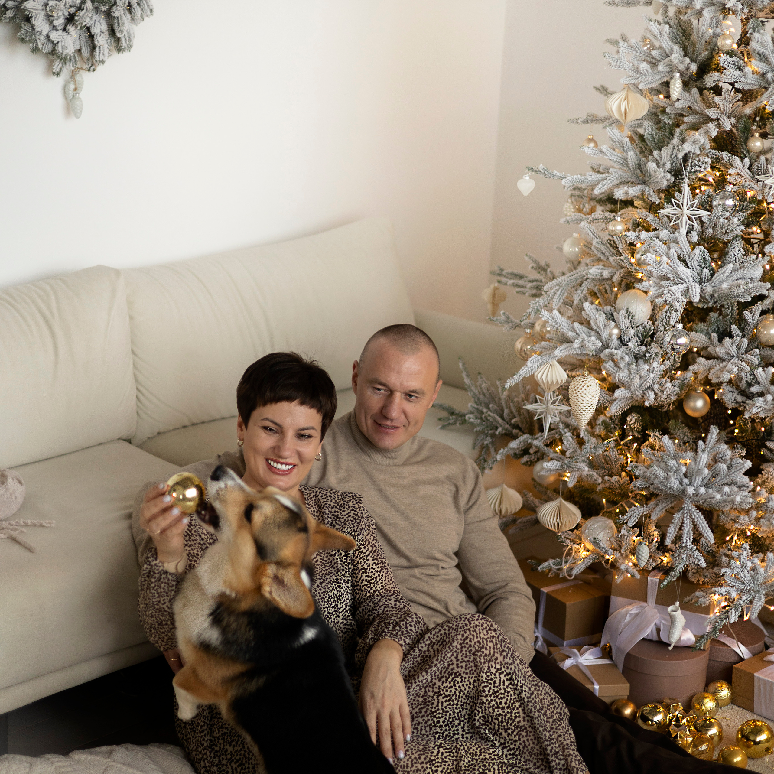 Новогодняя…