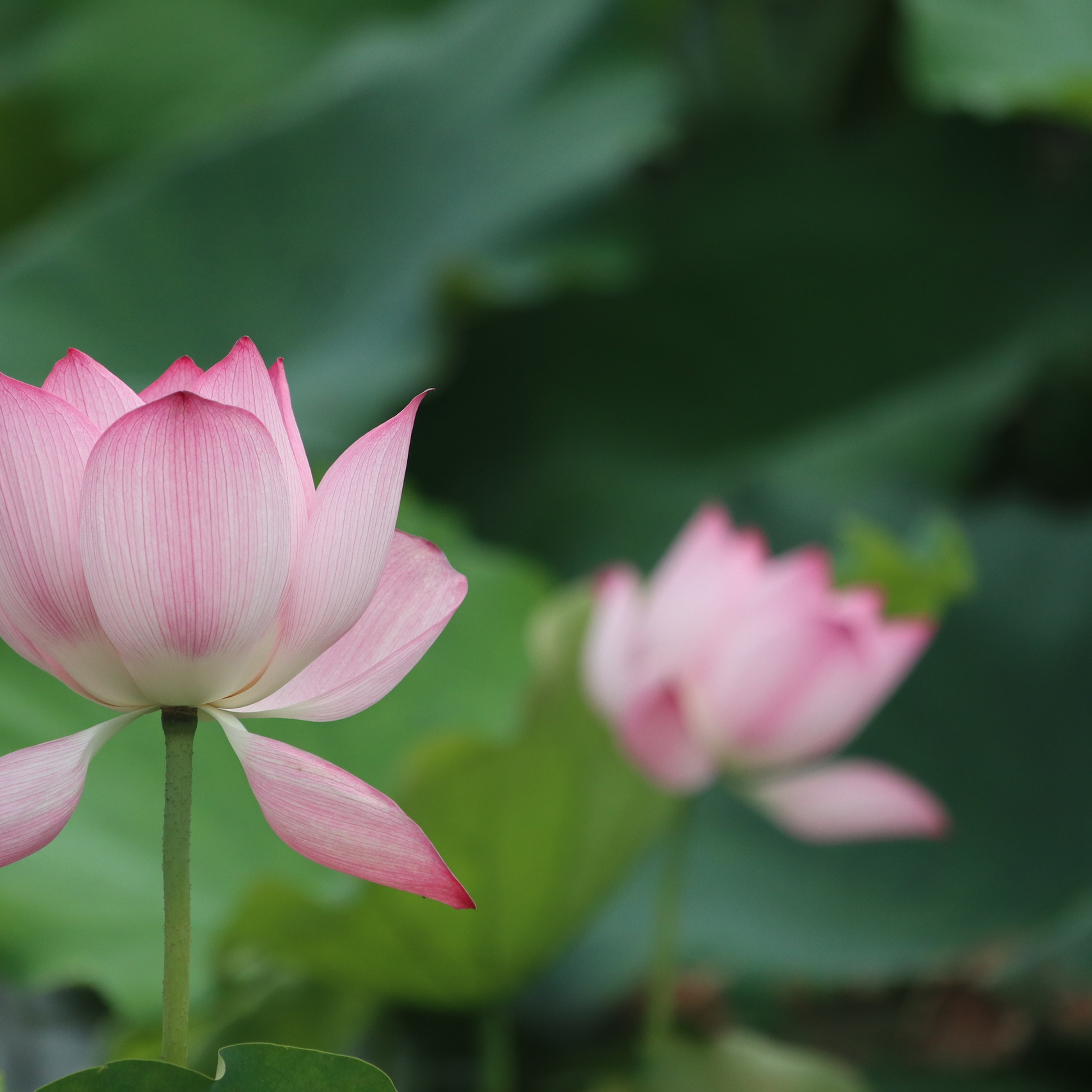 Путешествия. Фотограф Ольга Филимонова