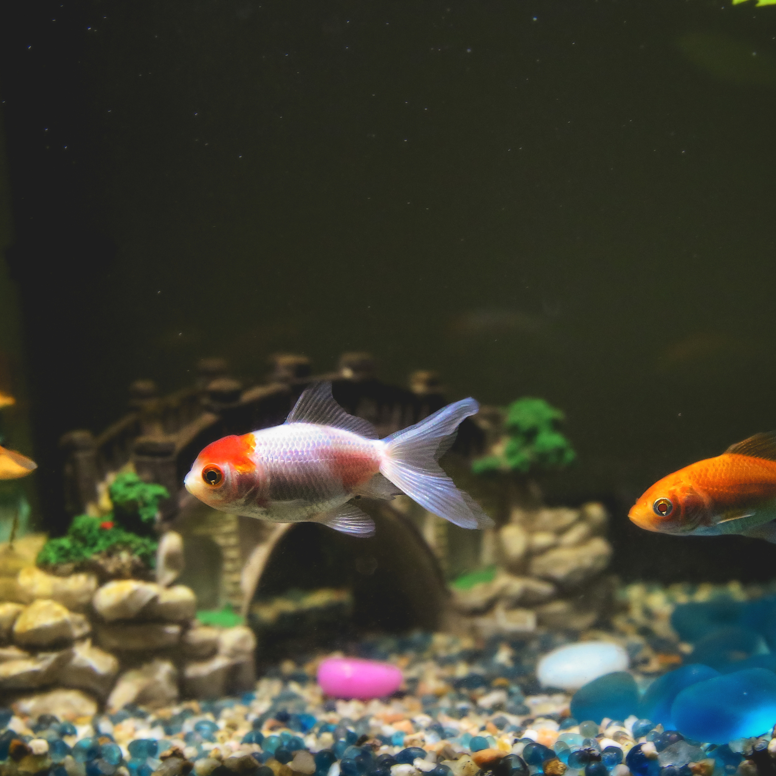 Путешествия. Фотограф Ольга Филимонова