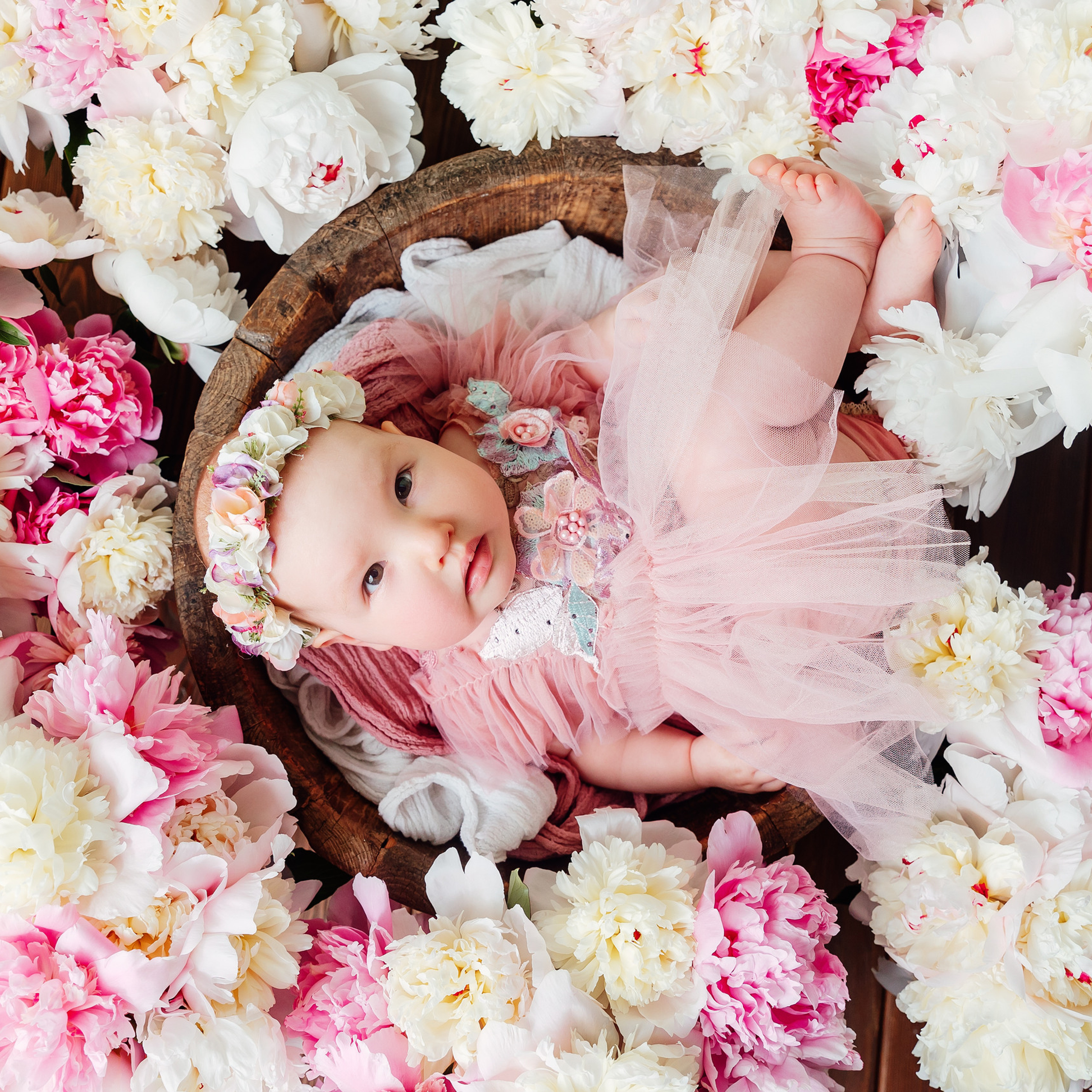 Отзывы. Анна Седова. Фотографирую самое драгоценное