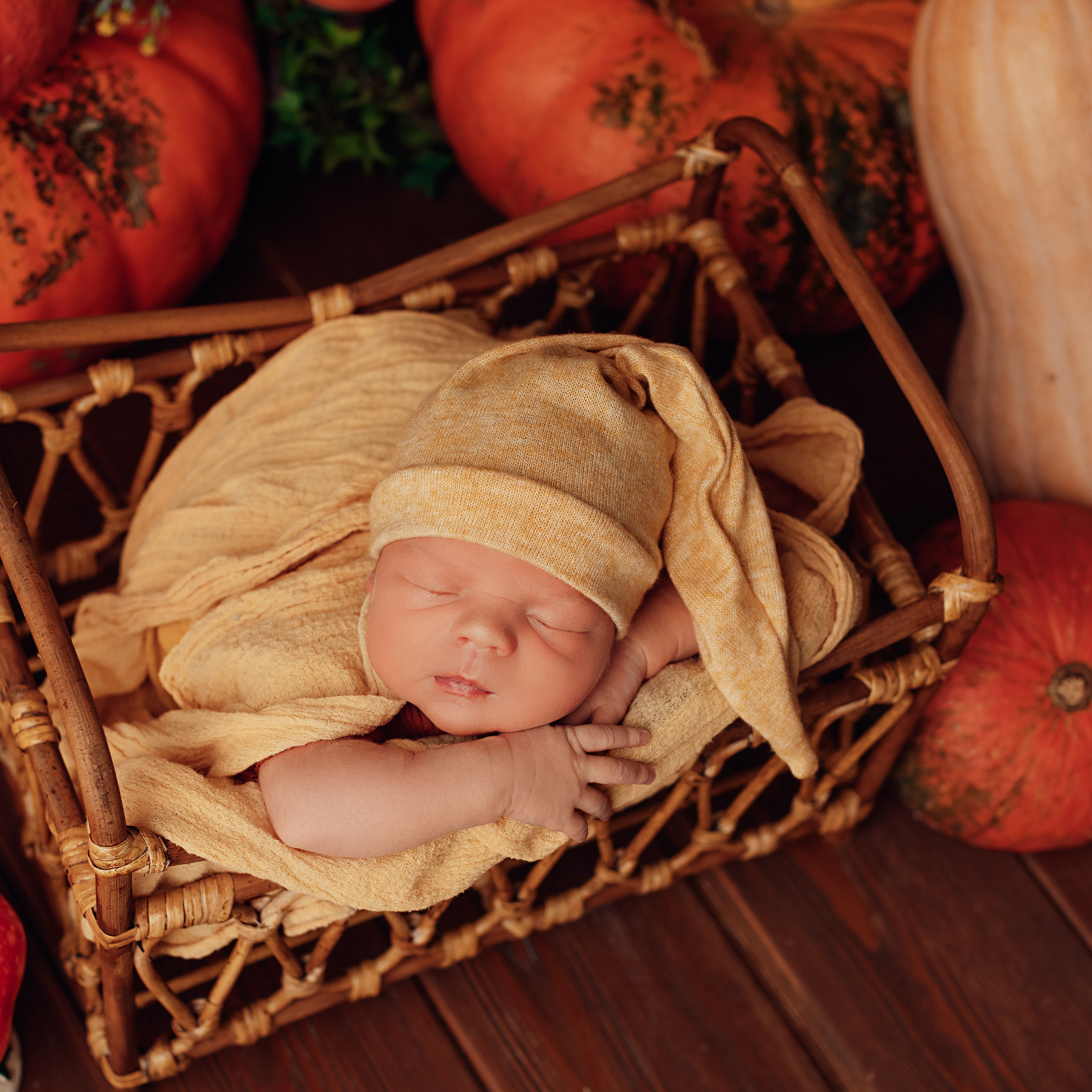 Отзывы. Анна Седова. Фотографирую самое драгоценное