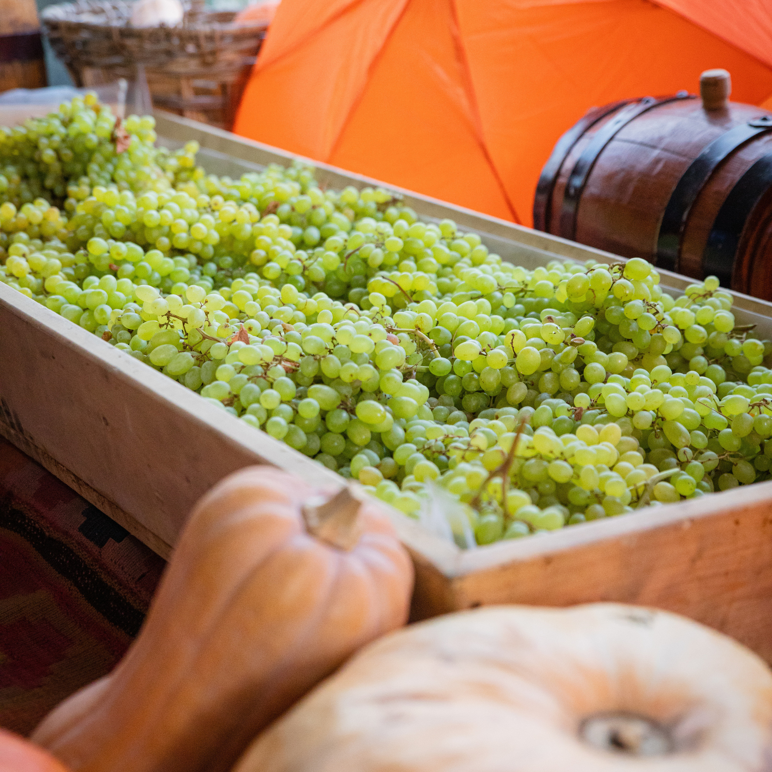 Отзывы. Фотограф Мария Иванова