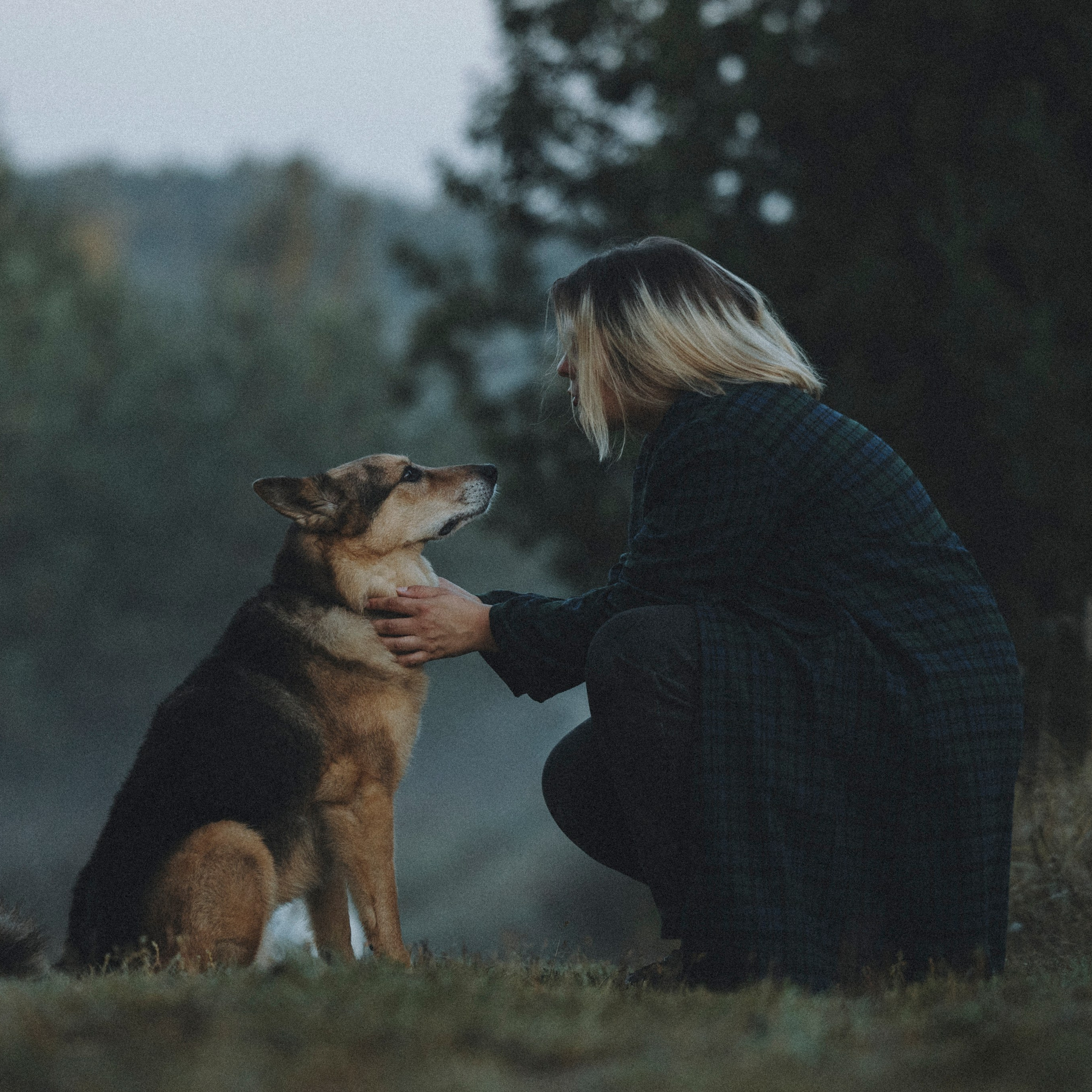 Фотограф-анималист Анна Маринич