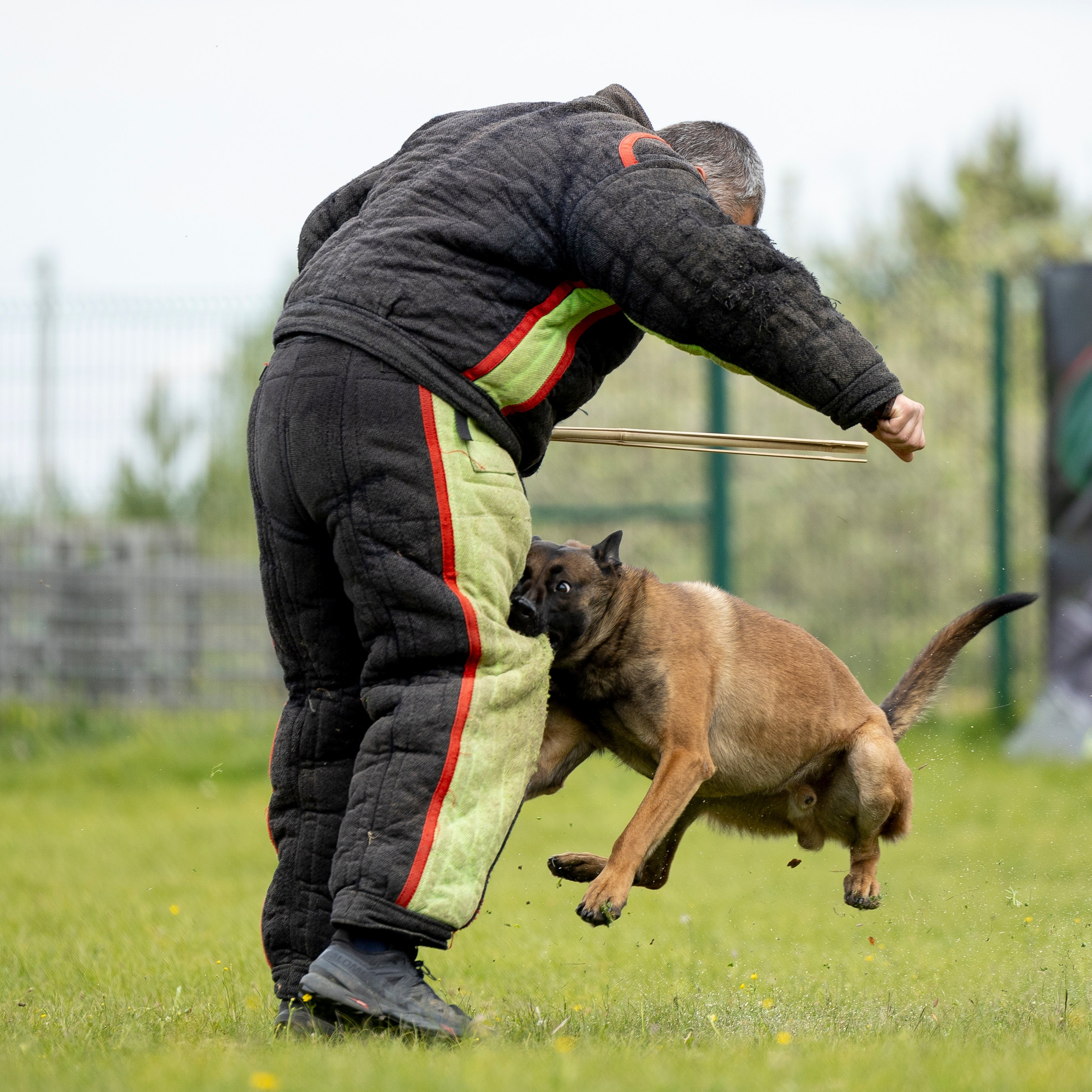 Испытания по мондьорингу в Нижнем Новгороде