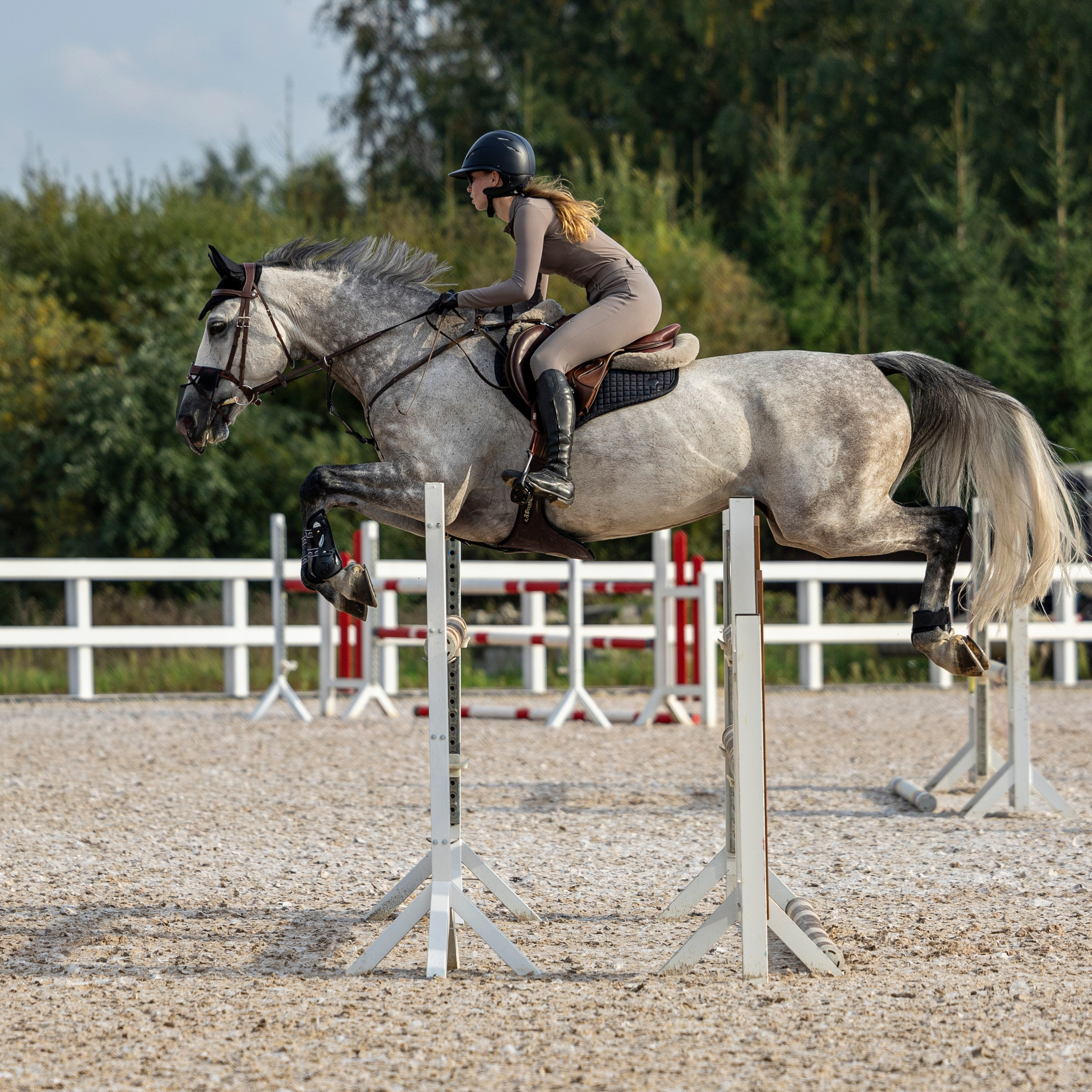 Фотограф-анималист Анна Маринич