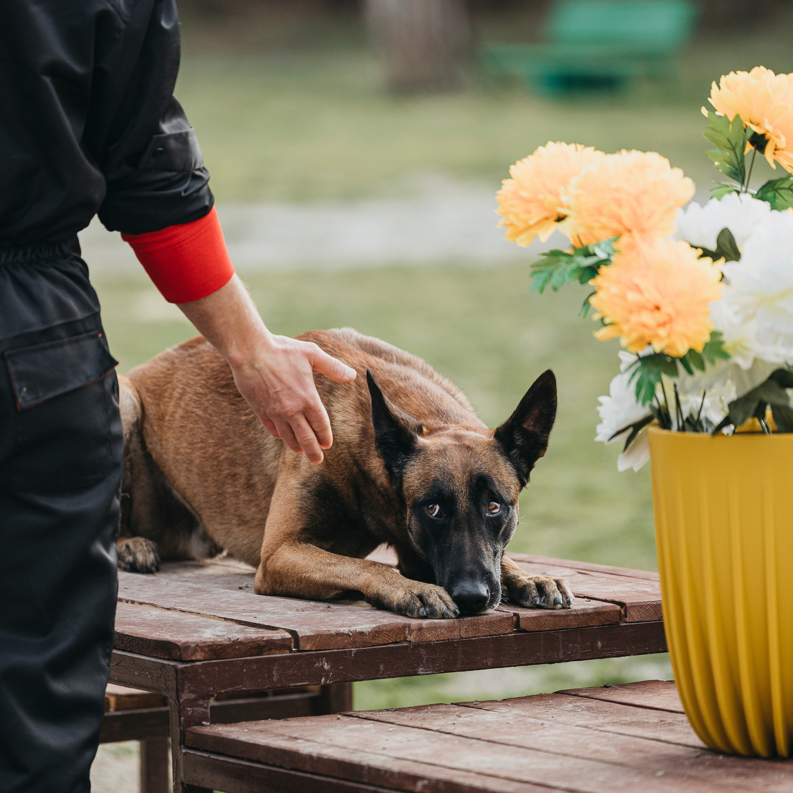 Геленджик Мондьоринг