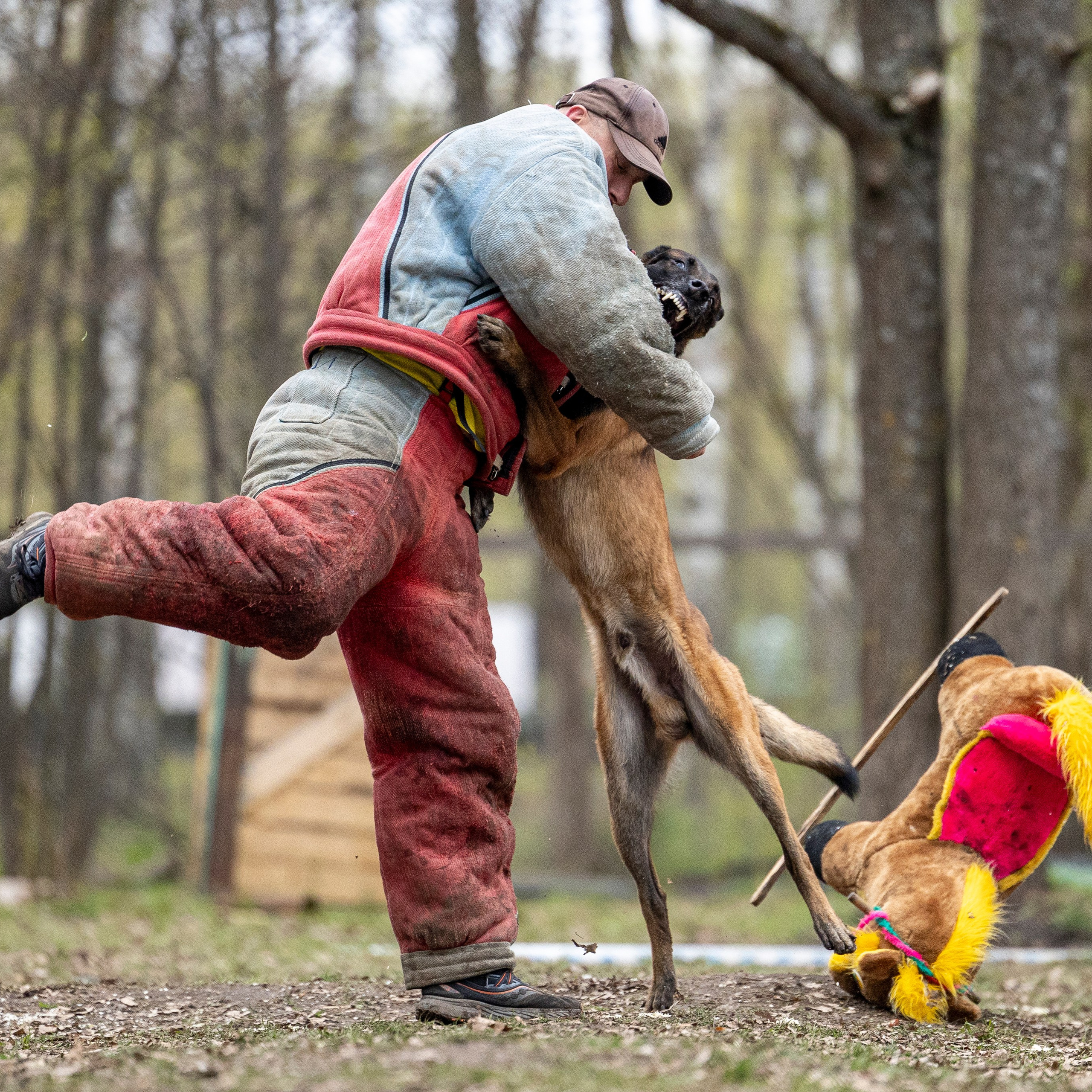 Квалификационные состязания по мондьорингу г. Вологда 11.05.24