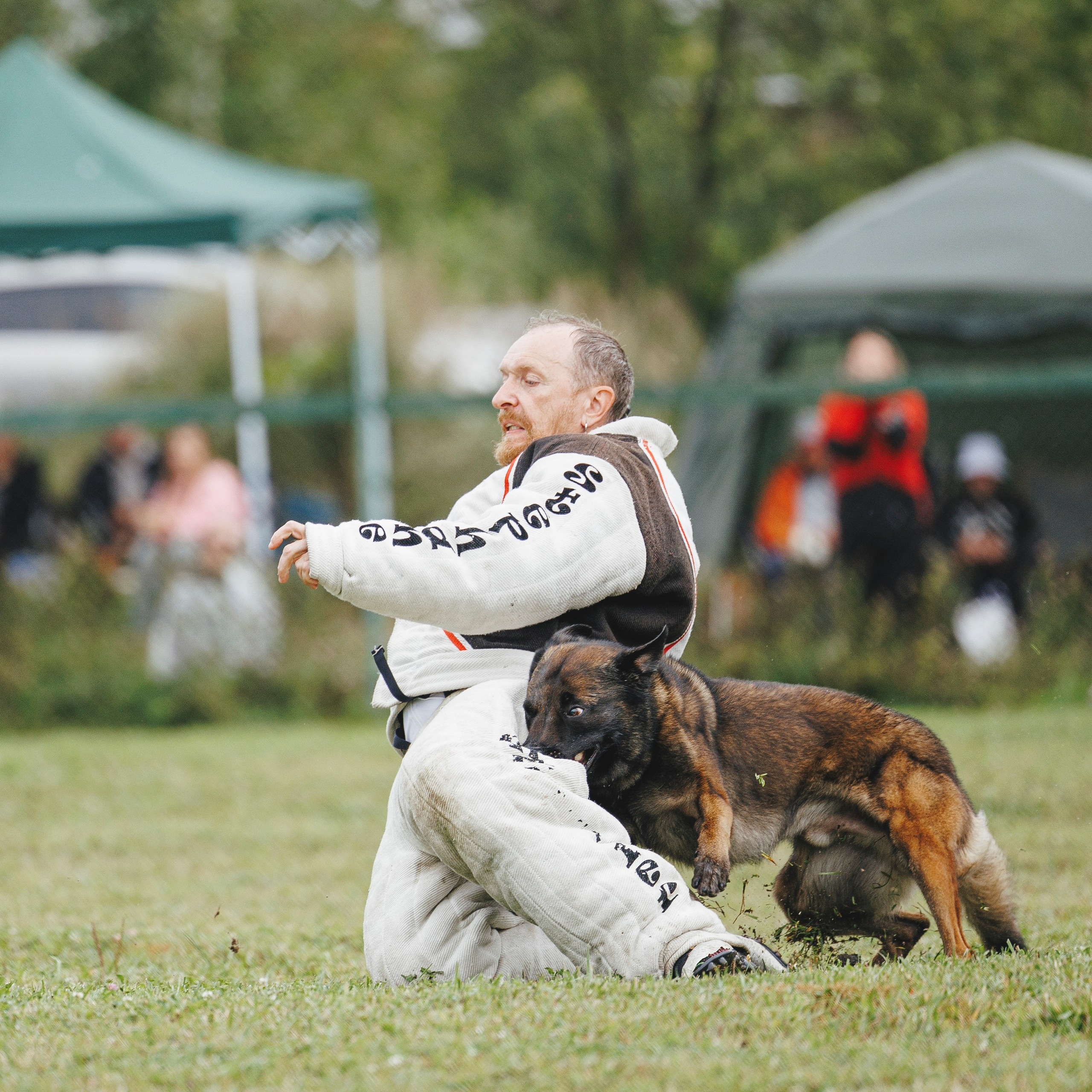 08.08.25-10.08.25 ЧР по мондьорингу г. Вологда