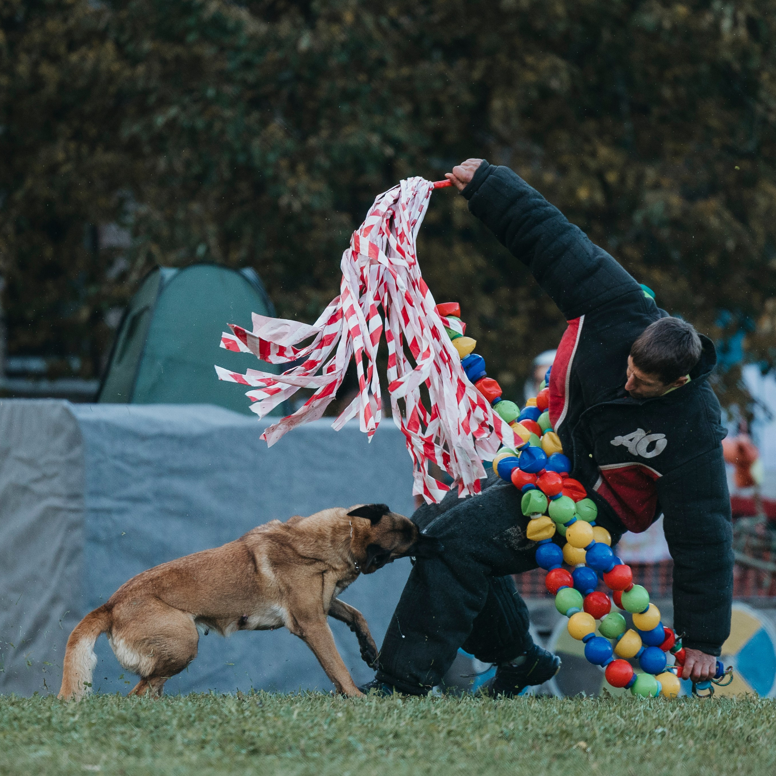 Испытания по мондьорингу г. Пушкин 29.09.2024