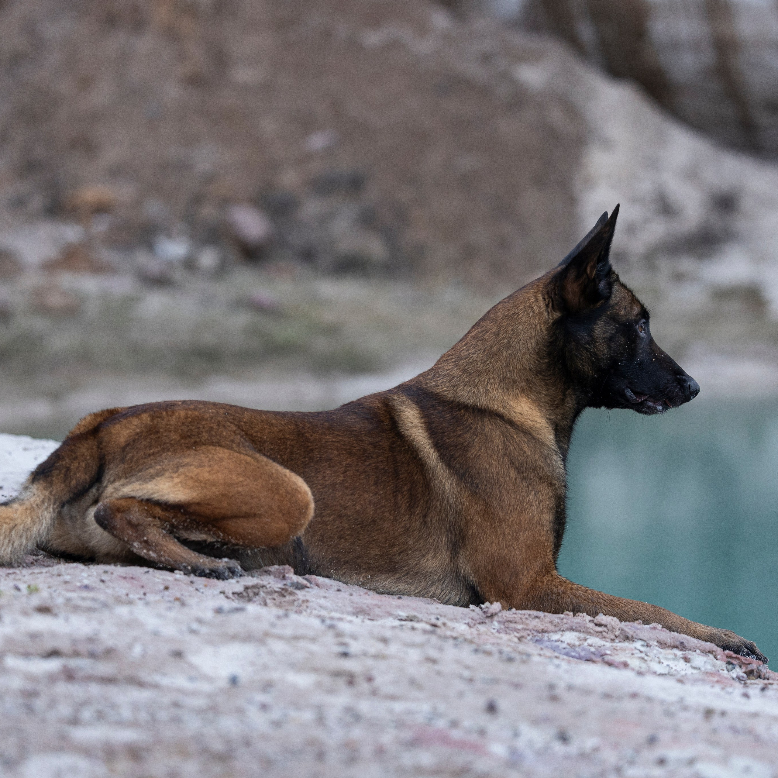 Лужские Мальдивы