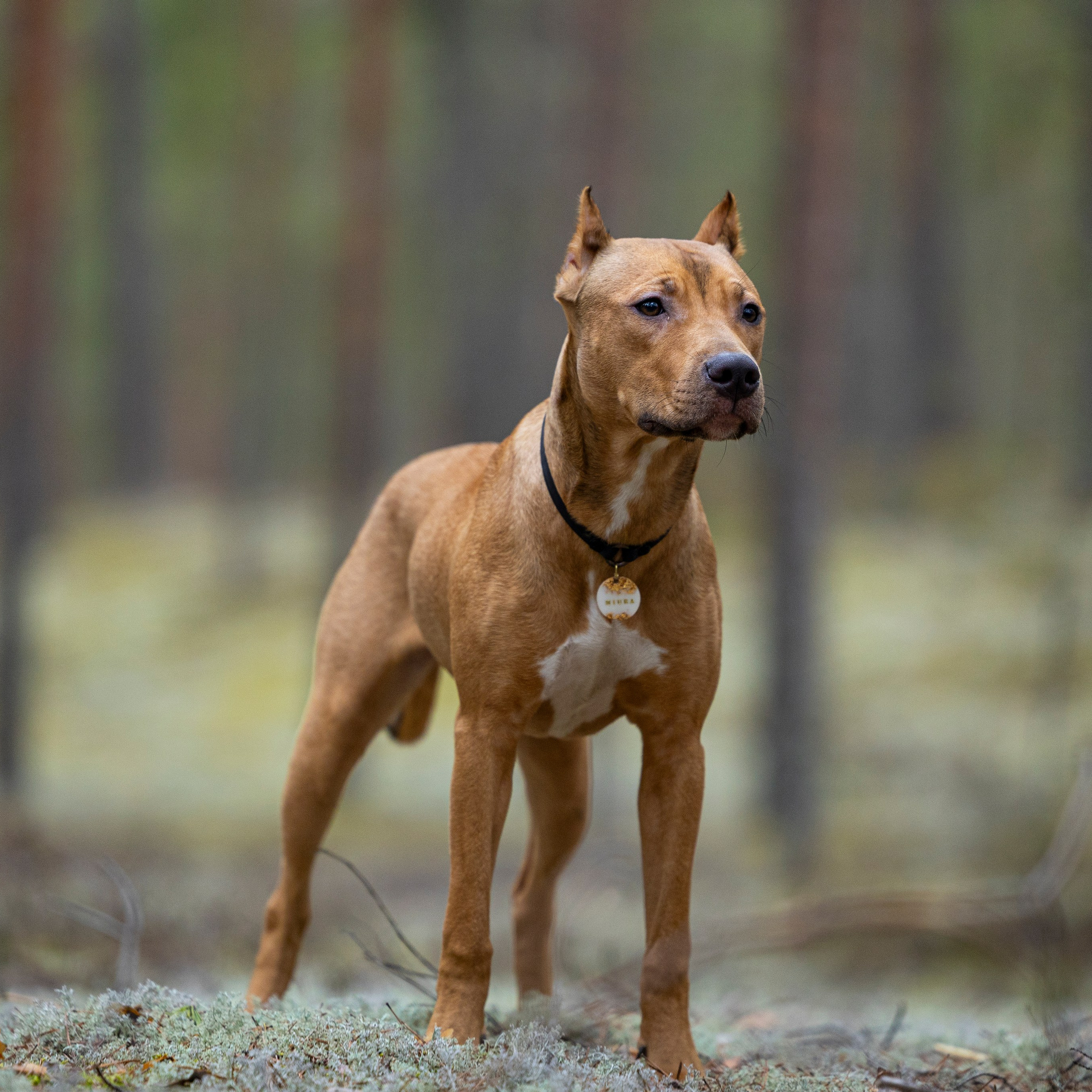 Фотограф-анималист Анна Маринич