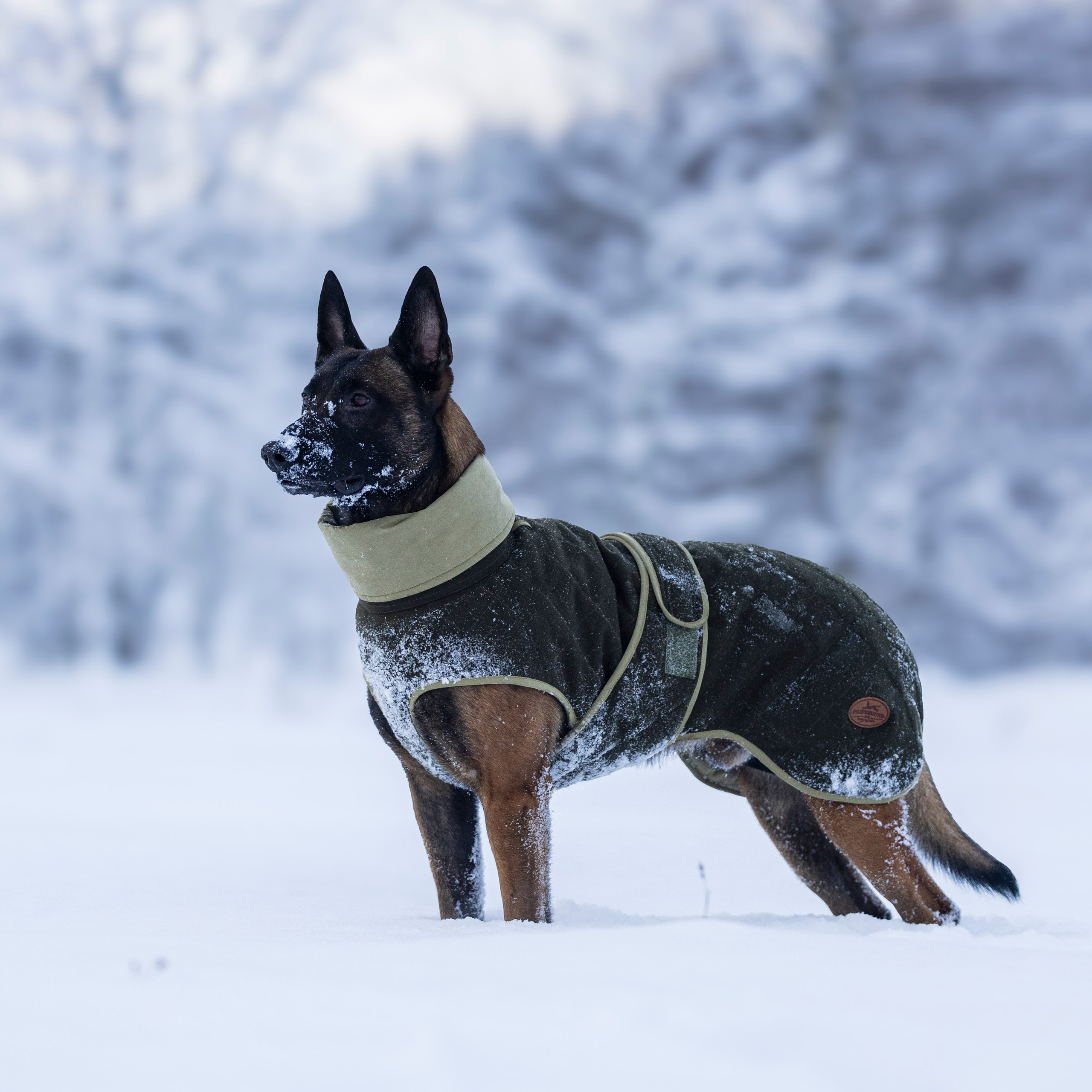 Фотограф-анималист Анна Маринич