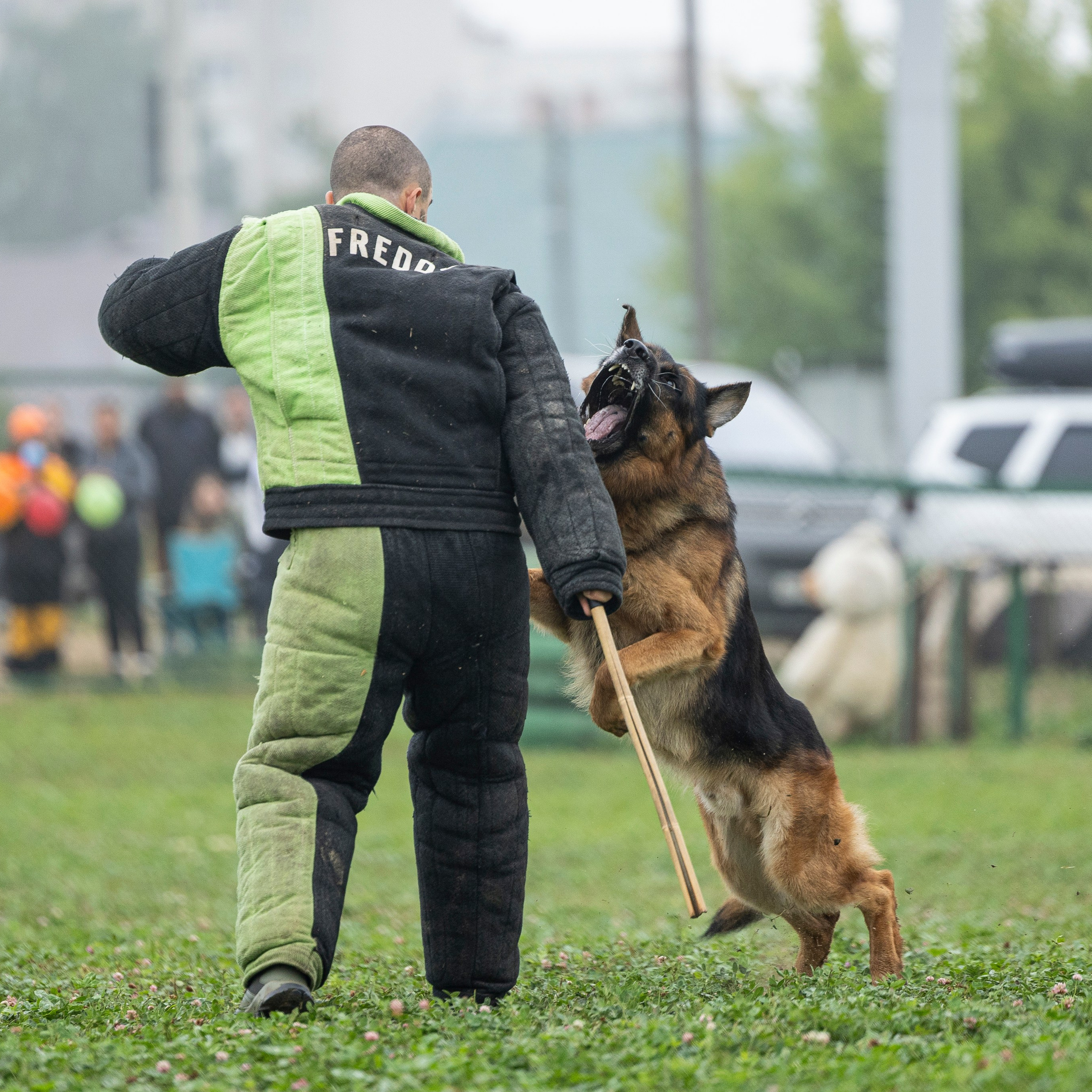 Соревнования по Мондьорингу г. Вологда 10-11.08.2024