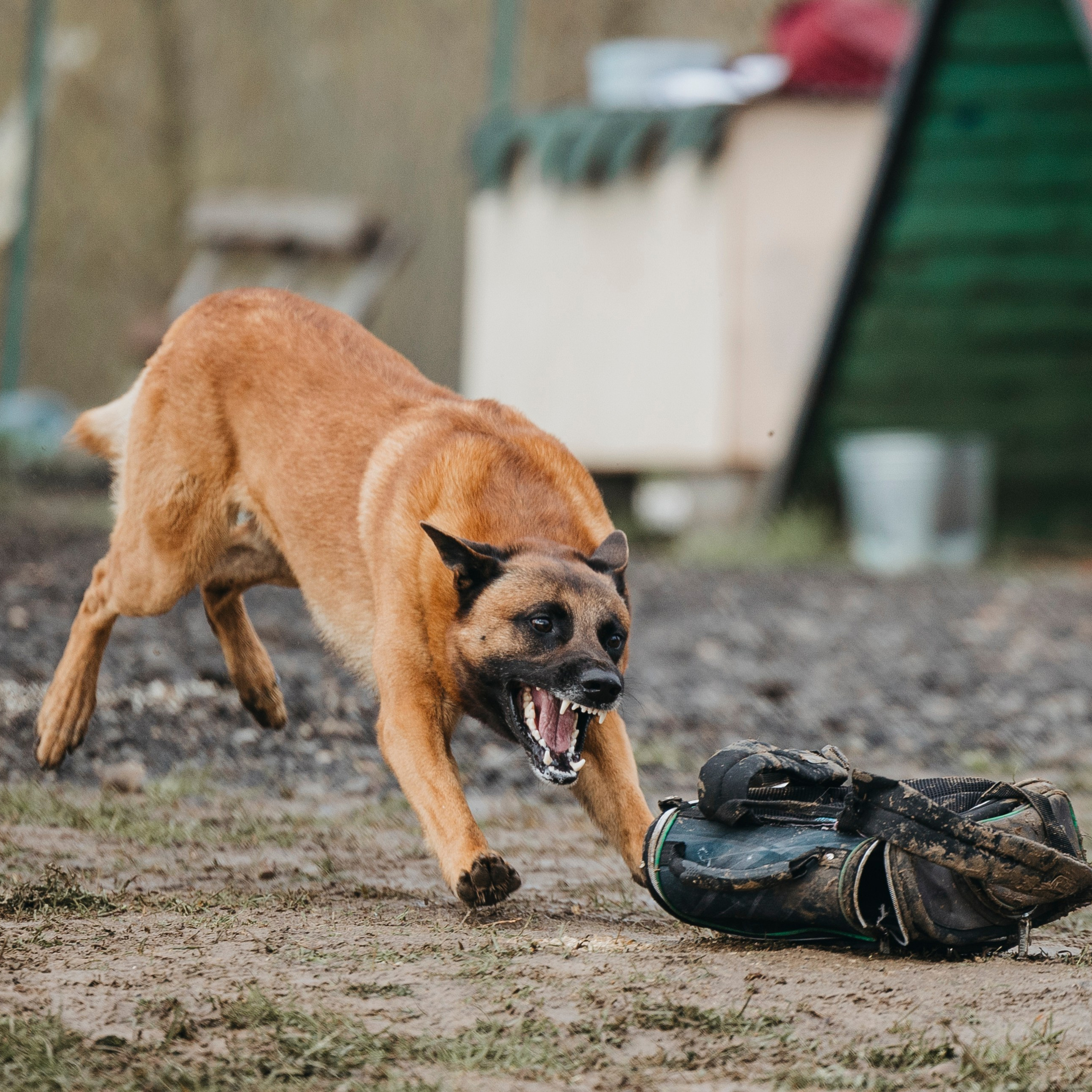 09.05.25 Вологда соревнования
