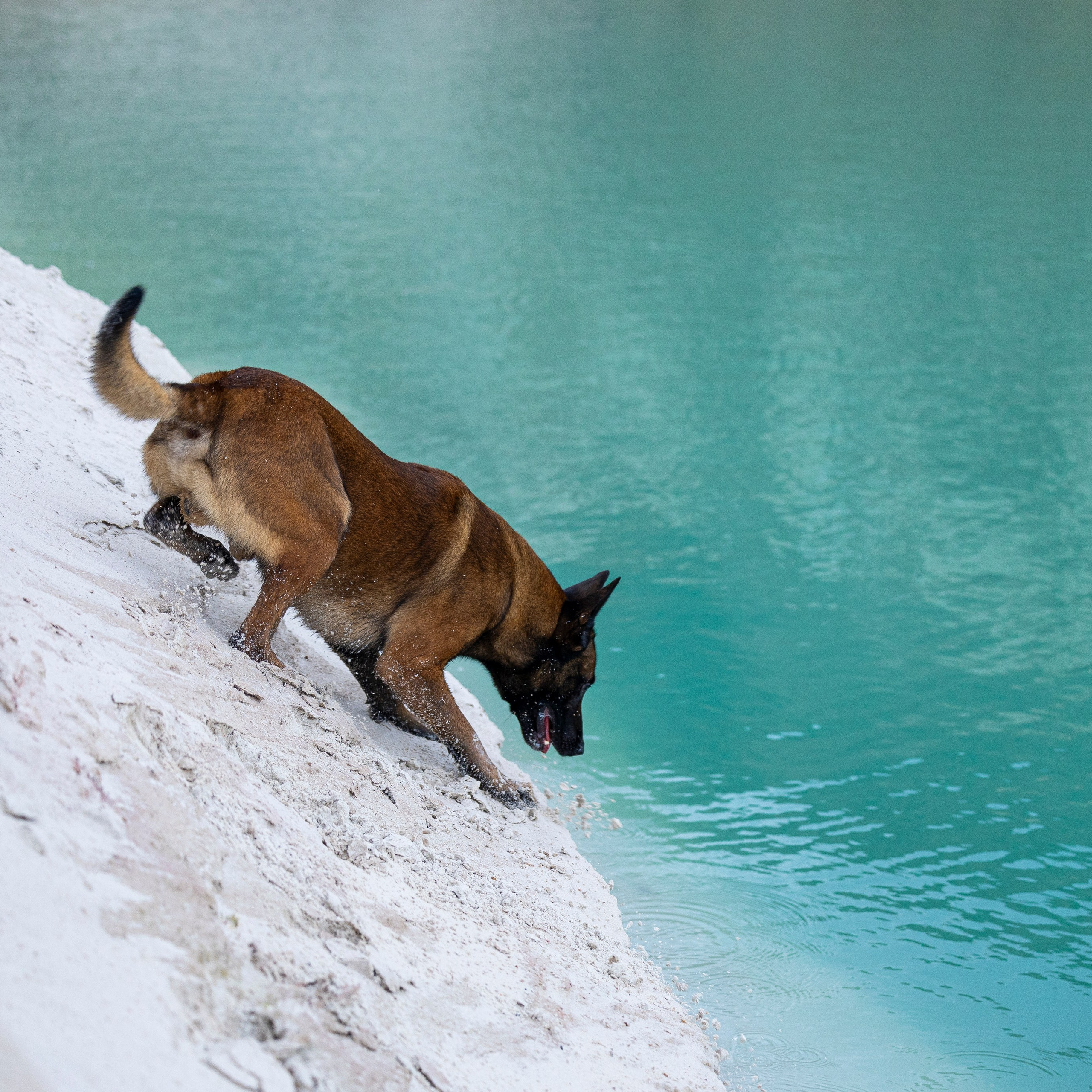Фотограф-анималист Анна Маринич