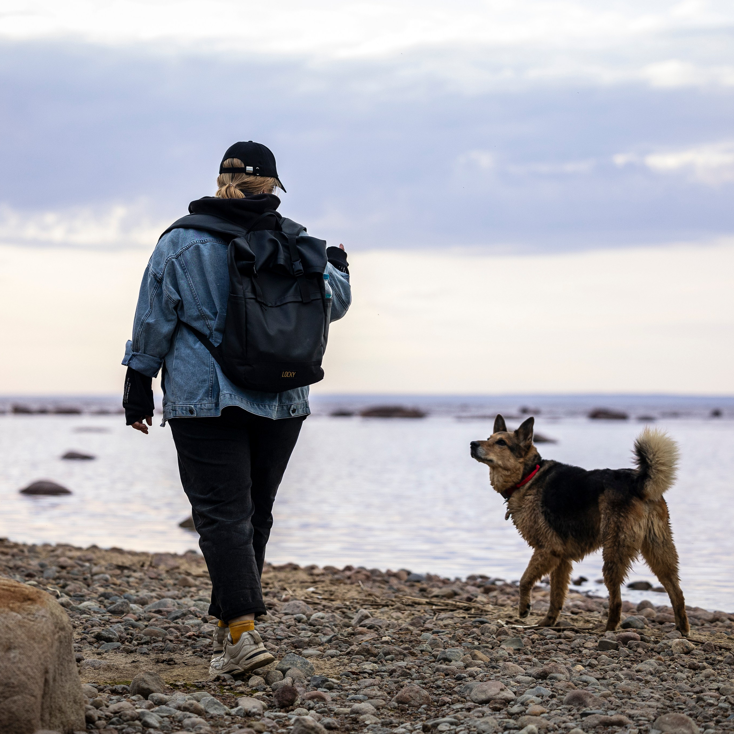 Ричард залив