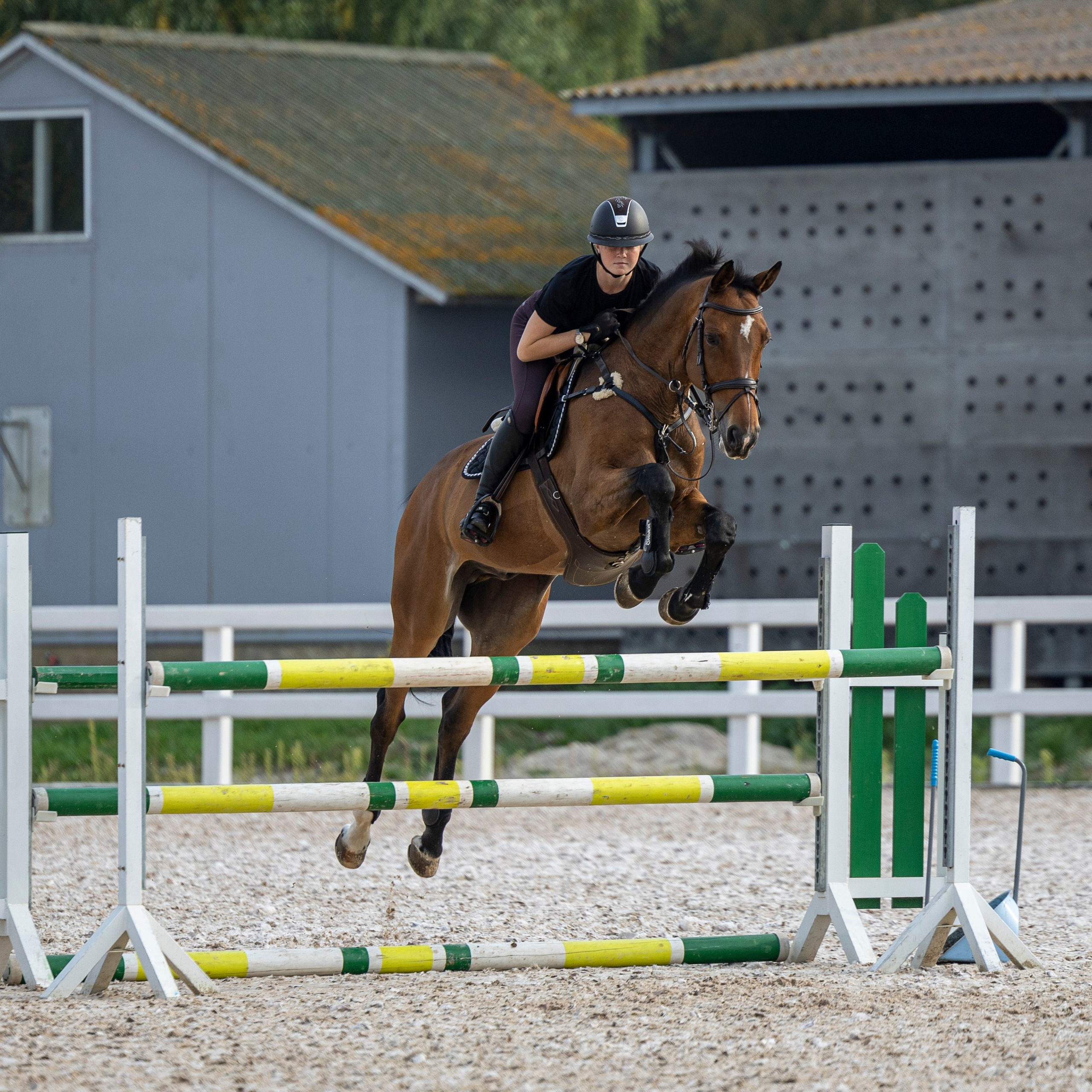 Фотограф-анималист Анна Маринич
