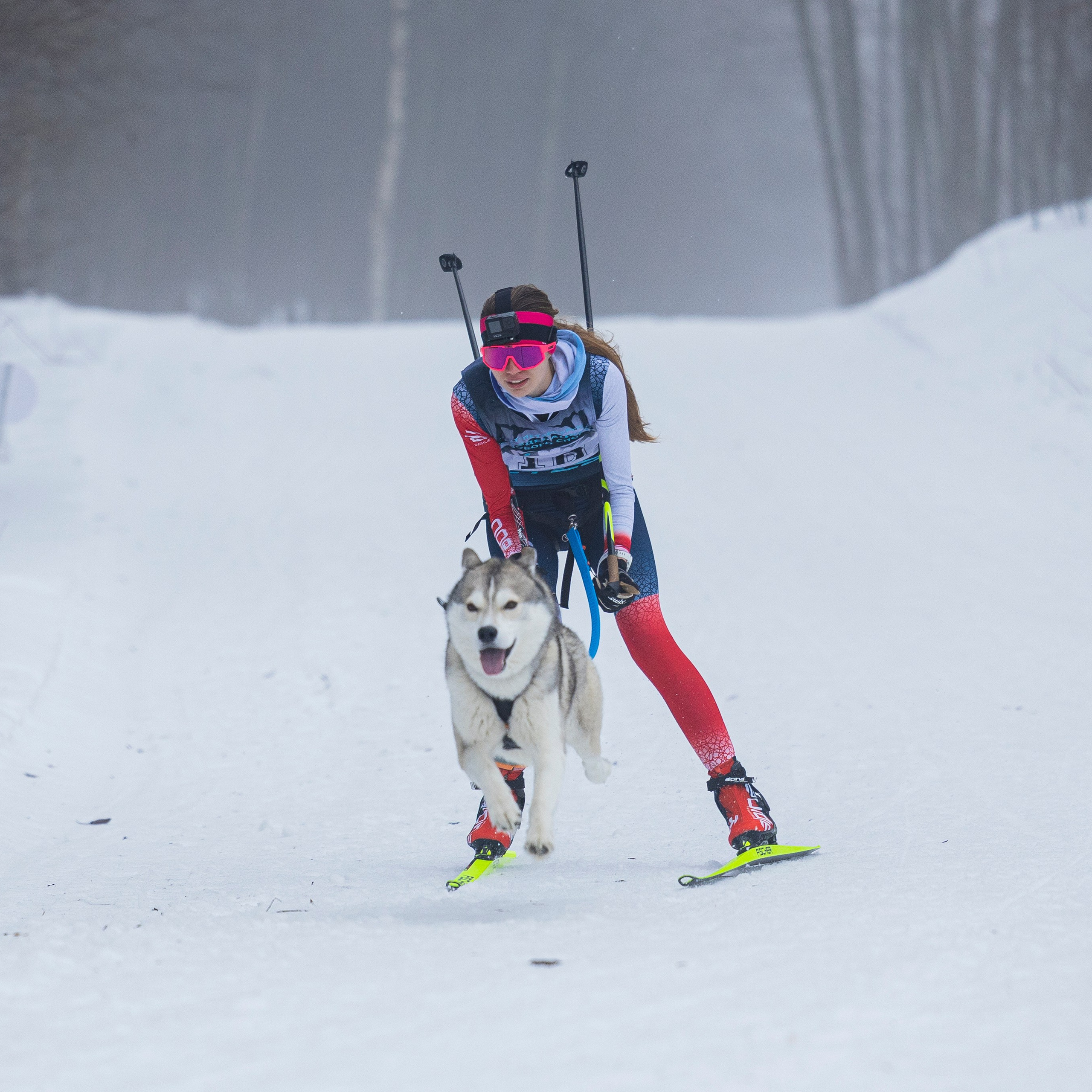 Фотограф-анималист Анна Маринич