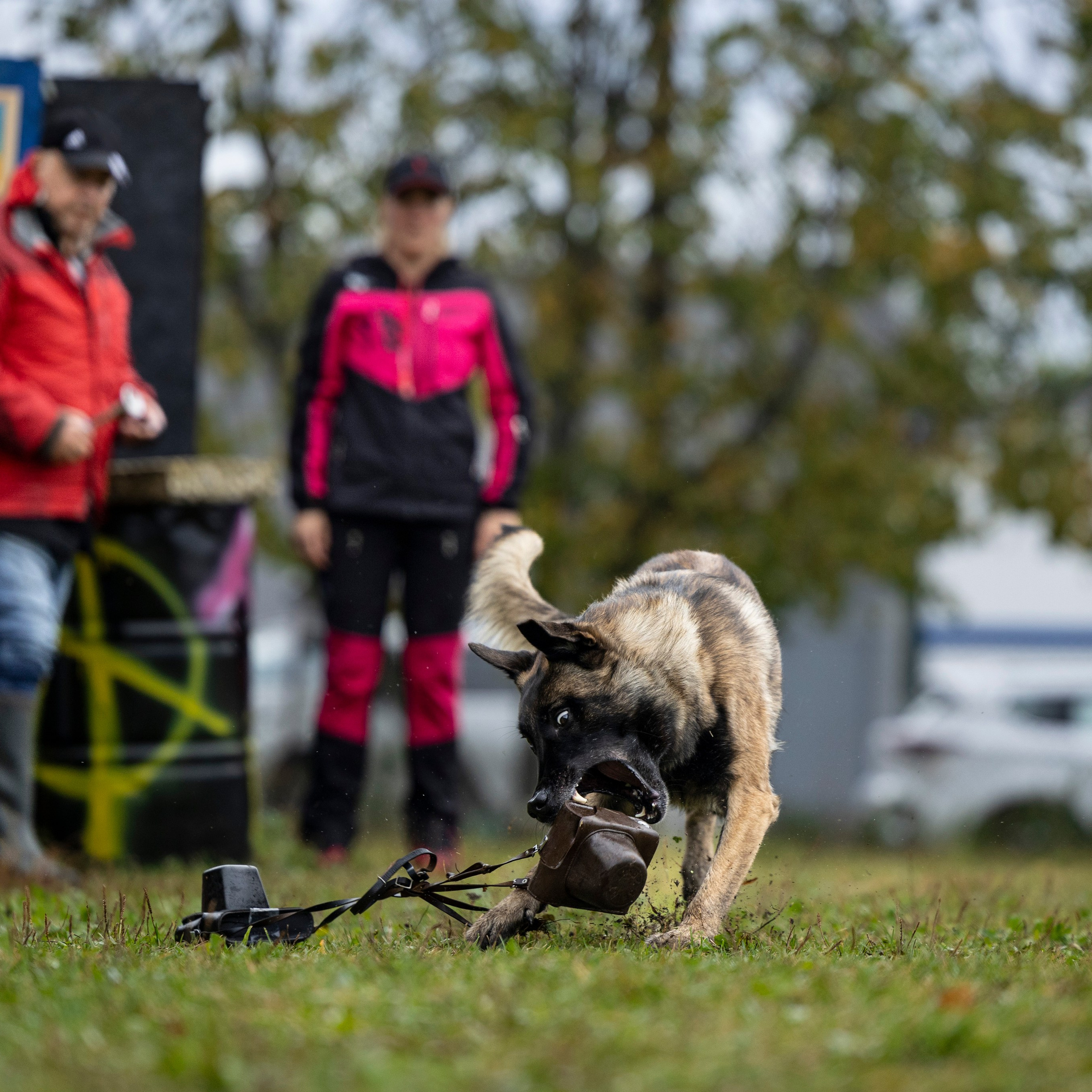 Испытания по Мондьорингу г. Пушкин