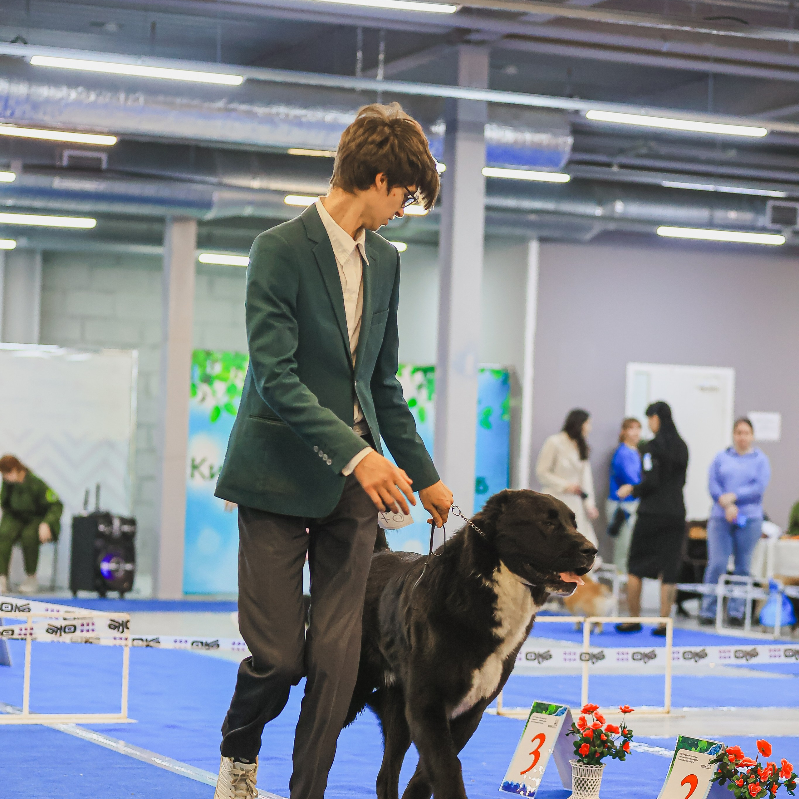 Татьяна Кауфман - отзывы о фотосессия. Фотограф Анималист из Новосибирска Татьяна Кауфман