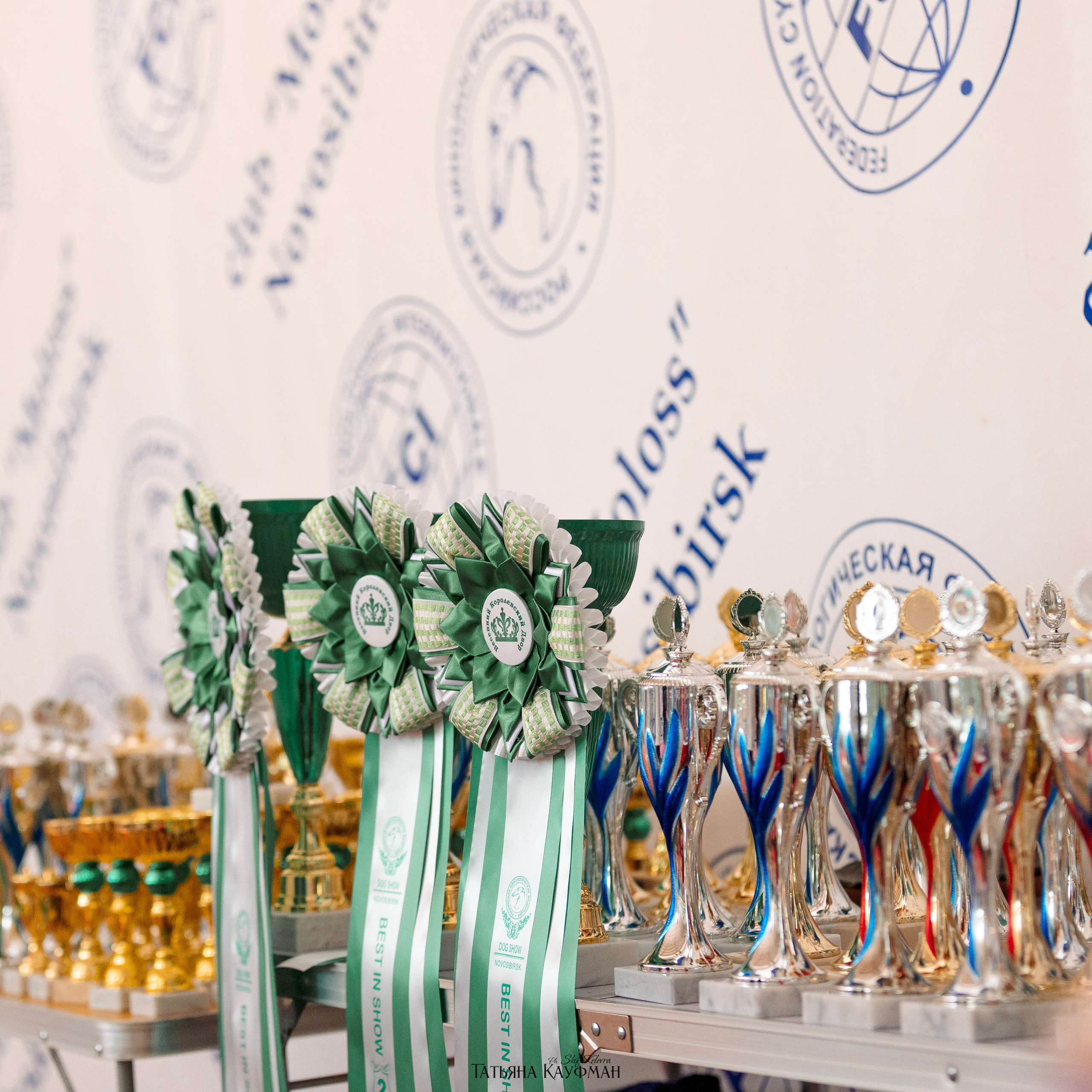 Татьяна Кауфман - отзывы о фотосессия. Фотограф Анималист из Новосибирска Татьяна Кауфман