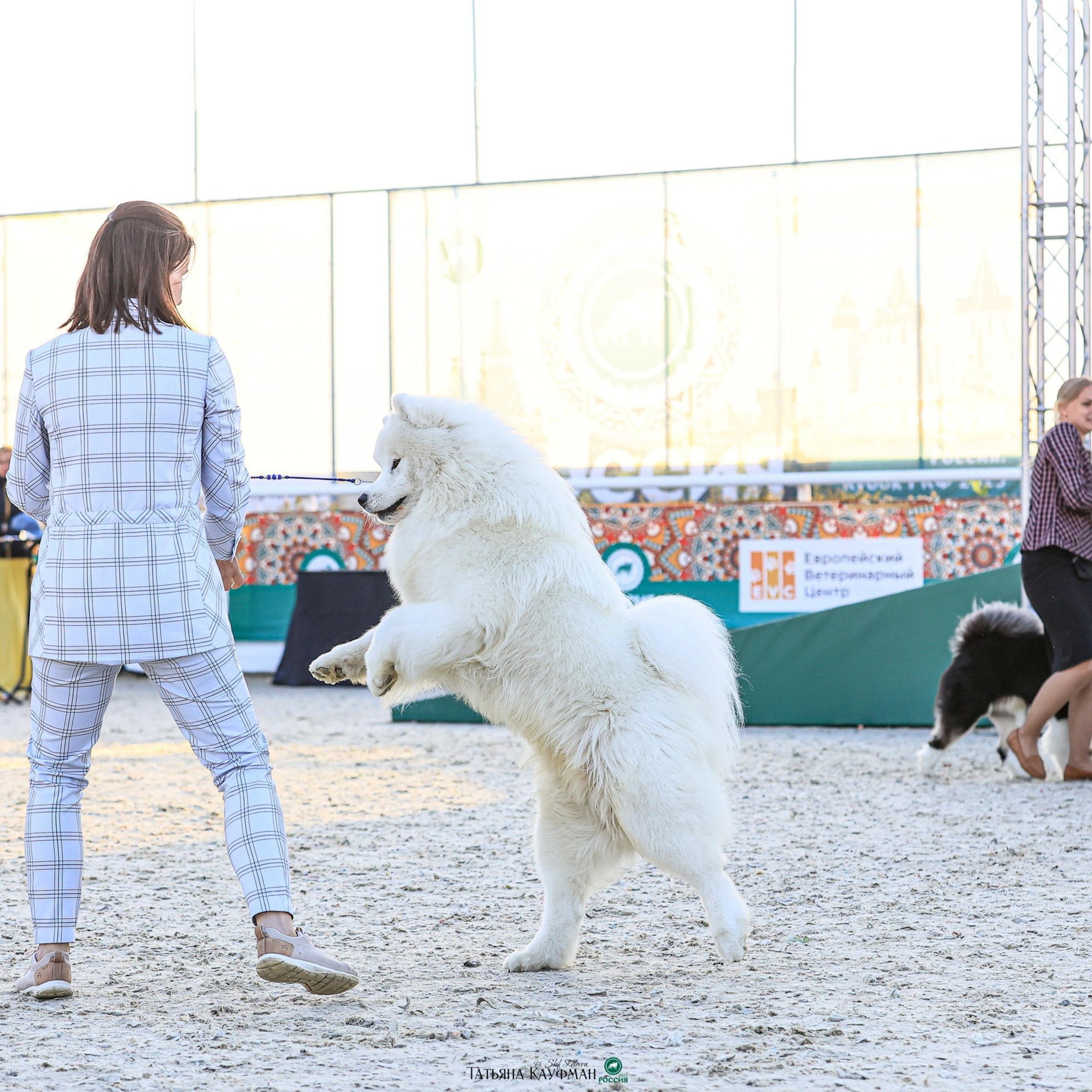 Татьяна Кауфман - отзывы о фотосессия. Фотограф Анималист из Новосибирска Татьяна Кауфман