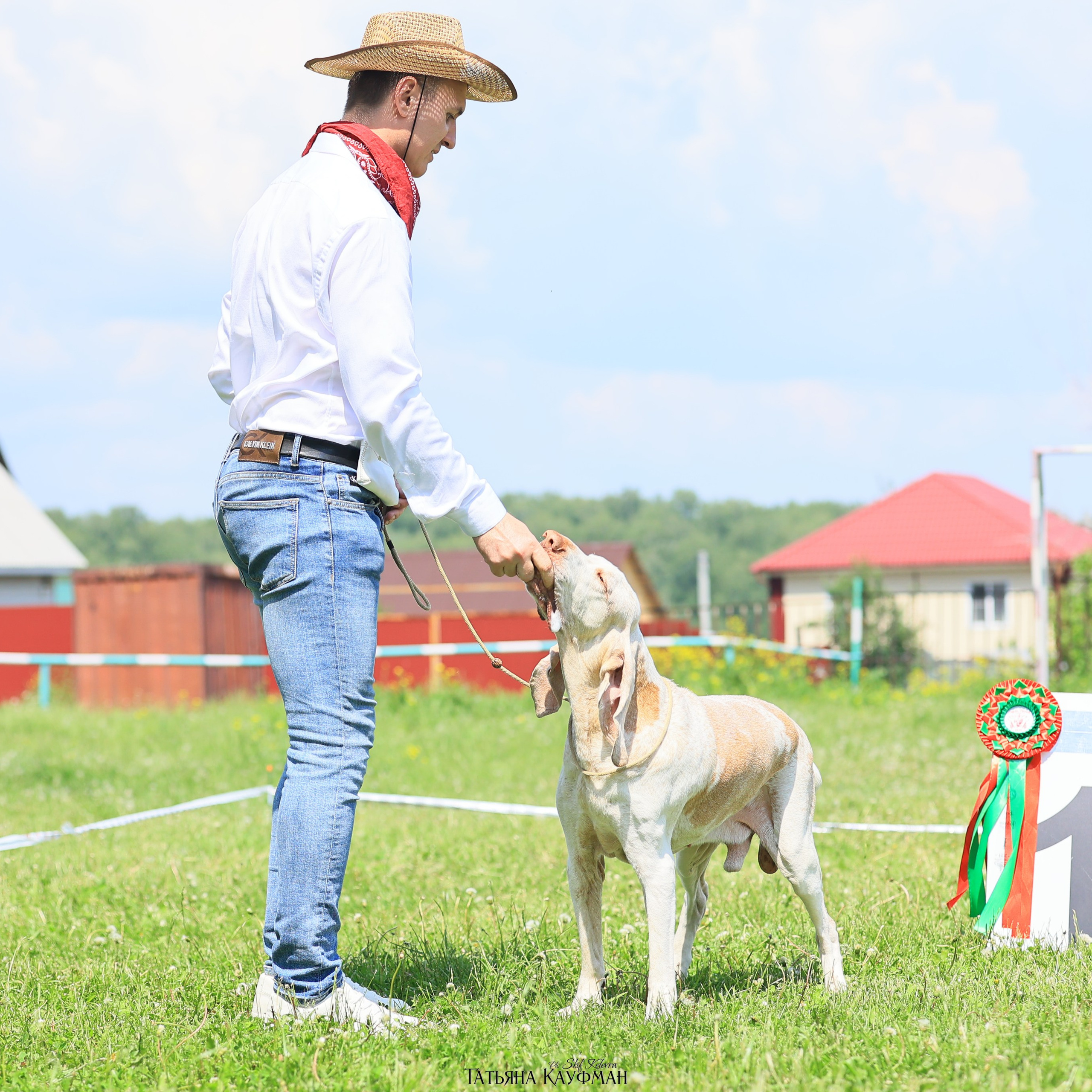 Татьяна Кауфман - отзывы о фотосессия. Фотограф Анималист из Новосибирска Татьяна Кауфман