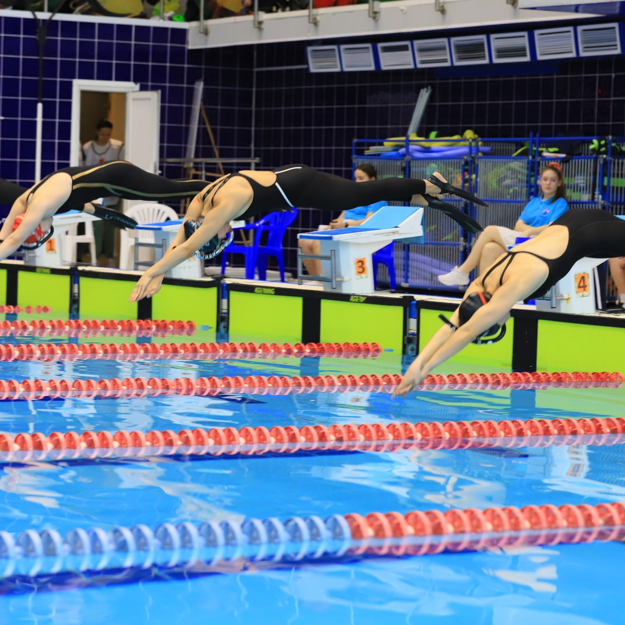 Татьяна Кауфман - отзывы о фотосессия. Фотограф Анималист из Новосибирска Татьяна Кауфман